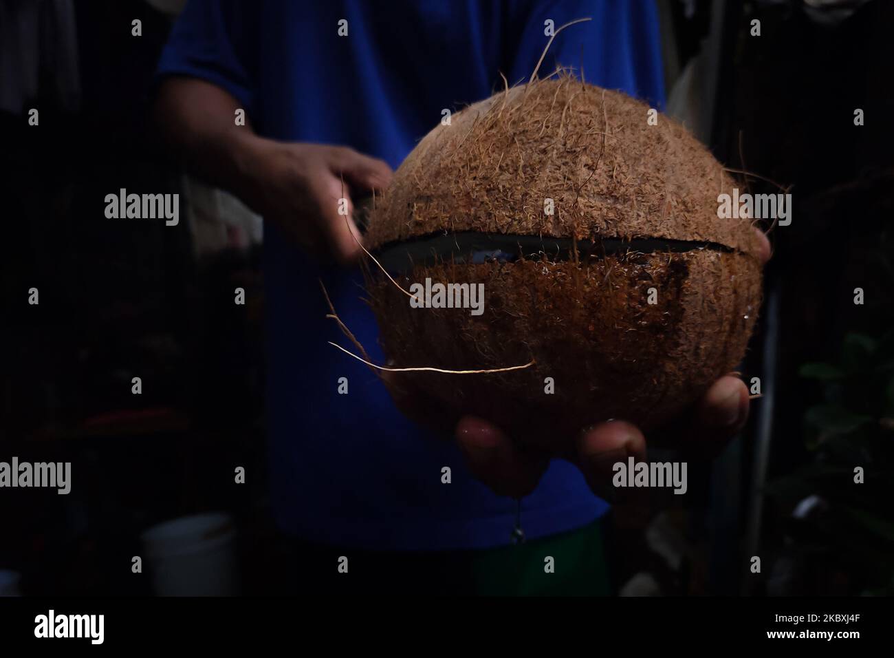 Un résident de la ville d'Antipolo brisant la coquille de la noix de coco, 26 août 2020. Des experts aux Philippines disent que l'huile de coco vierge est efficace et sûre comme agent antiviral contre le virus Covid-19. (Photo par Ryan Eduard Benaid/NurPhoto) Banque D'Images