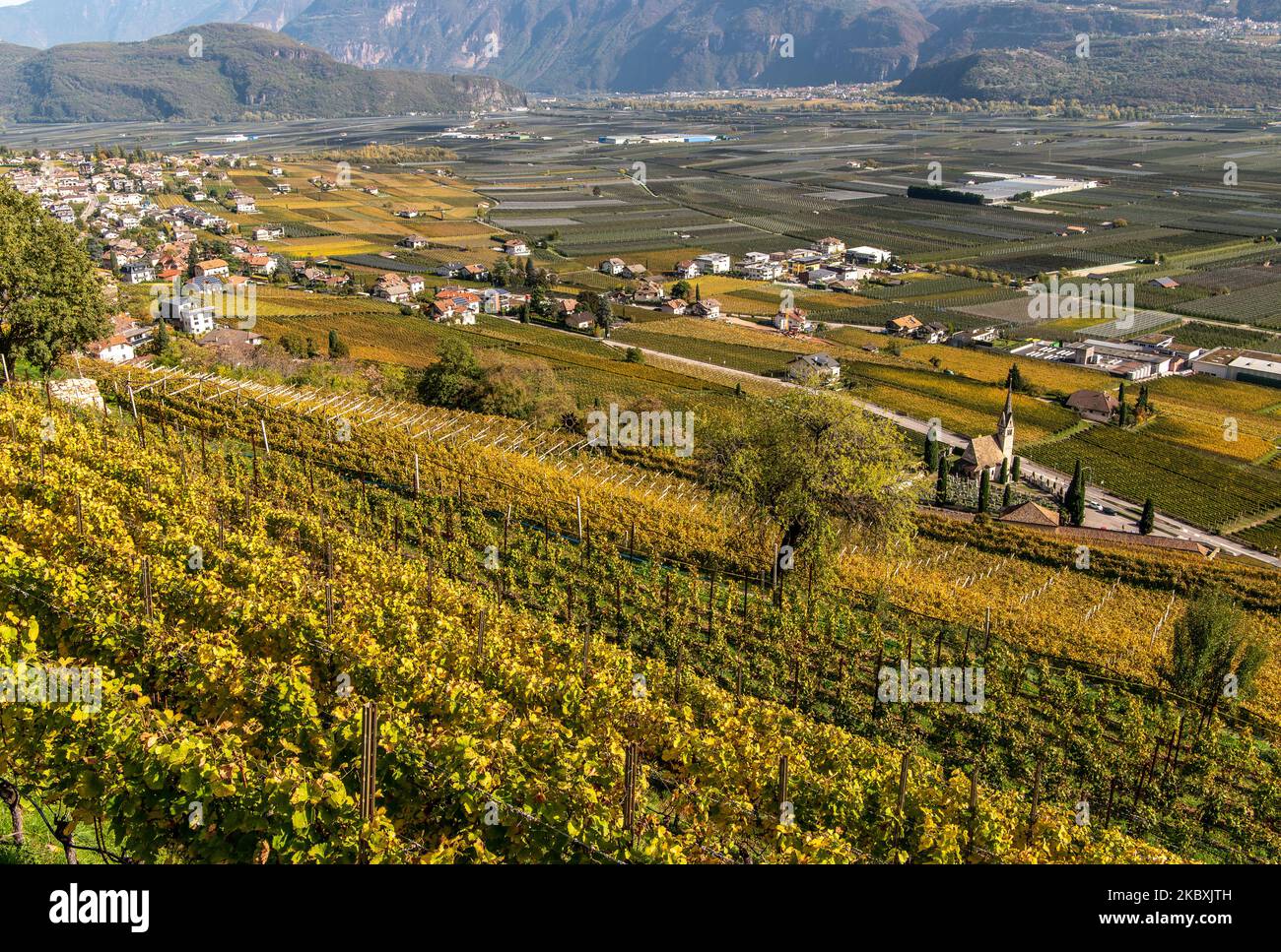 Tramin Village (Termeno) le long de la route des vins. Tramin est le village viticole du Tyrol du Sud - province de Bolzano - nord de l'Italie Banque D'Images