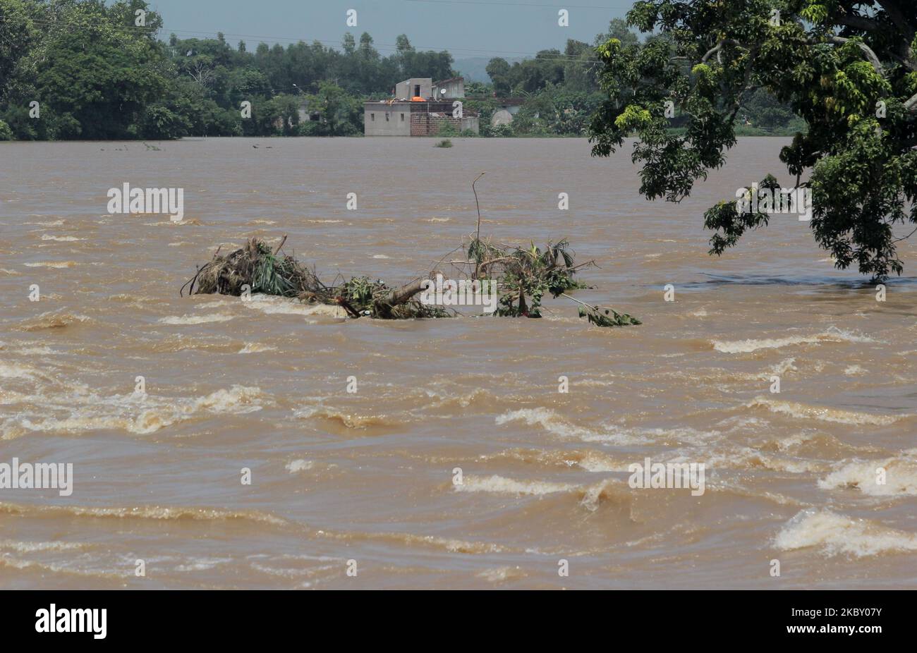 Les villageois touchés par les inondations sont vus près des remblais de rivière brisés et des points de débordement des rivières de la région basse qui sont des rivières de branche de Mahanadi, en Inde, sur 1 septembre 2020, Comme la situation des inondations se crée et des centaines de villages maroonés après que le barrage Hirakud libère ses eaux d'inondation dans le fleuve Mahanadi après une forte descente dans les bassins versants supérieurs en raison de la faible pression dans la baie de la mer du Bengale et il provoque des inondations dans la zone de basse altitude des districts côtiers De l'état et tué près de 19 personnes entre les deux jours (photo par STR/NurPhoto) Banque D'Images