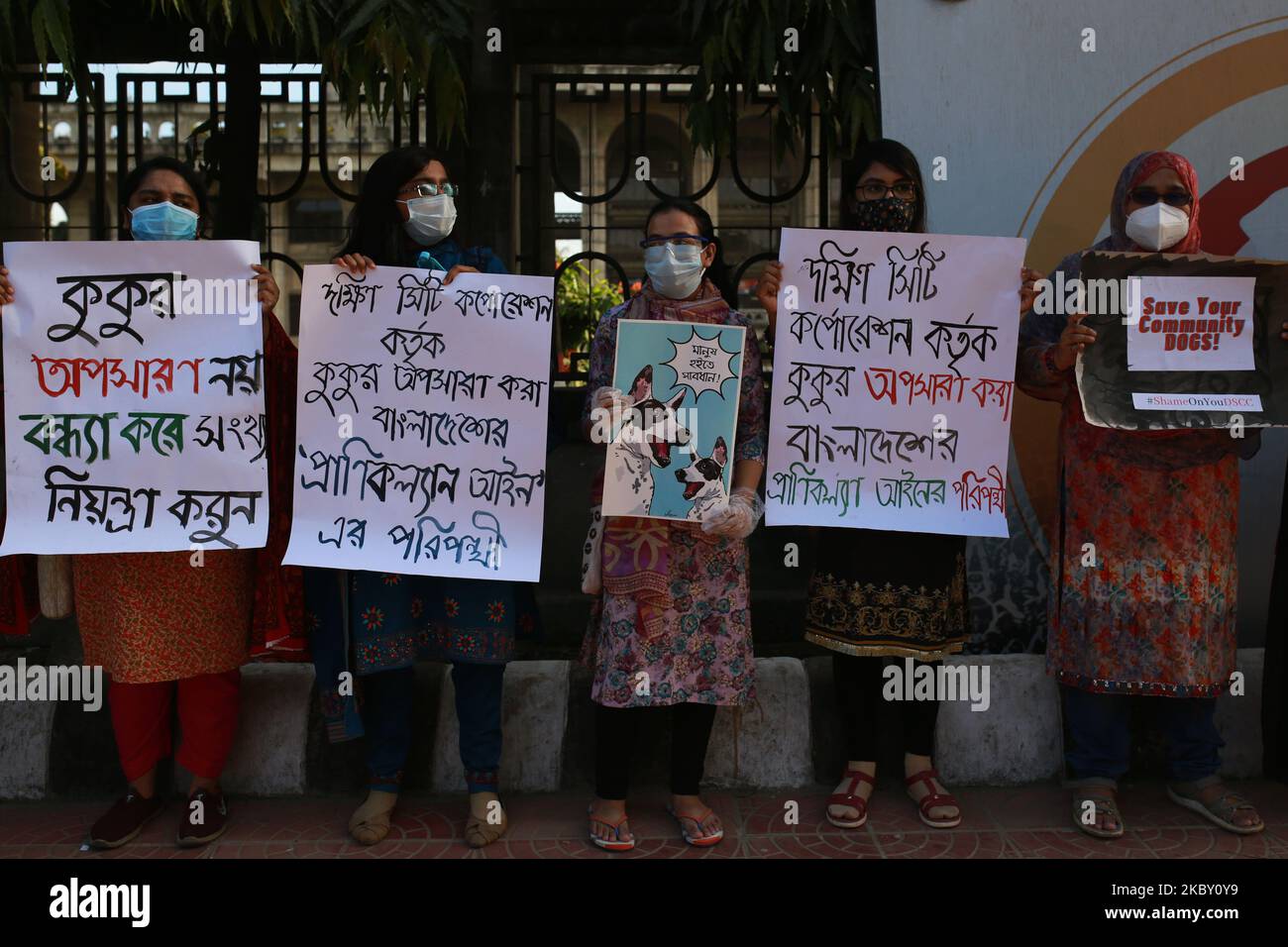 Les partisans des groupes de défense des droits des animaux forment une chaîne humaine qui proteste contre la décision des autorités de la ville de Dhaka de déplacer des chiens errants hors de la ville, devant Nagar Bhaban à Dhaka, au Bangladesh, sur 2 septembre 2020. (Photo de Rehman Asad/NurPhoto) Banque D'Images