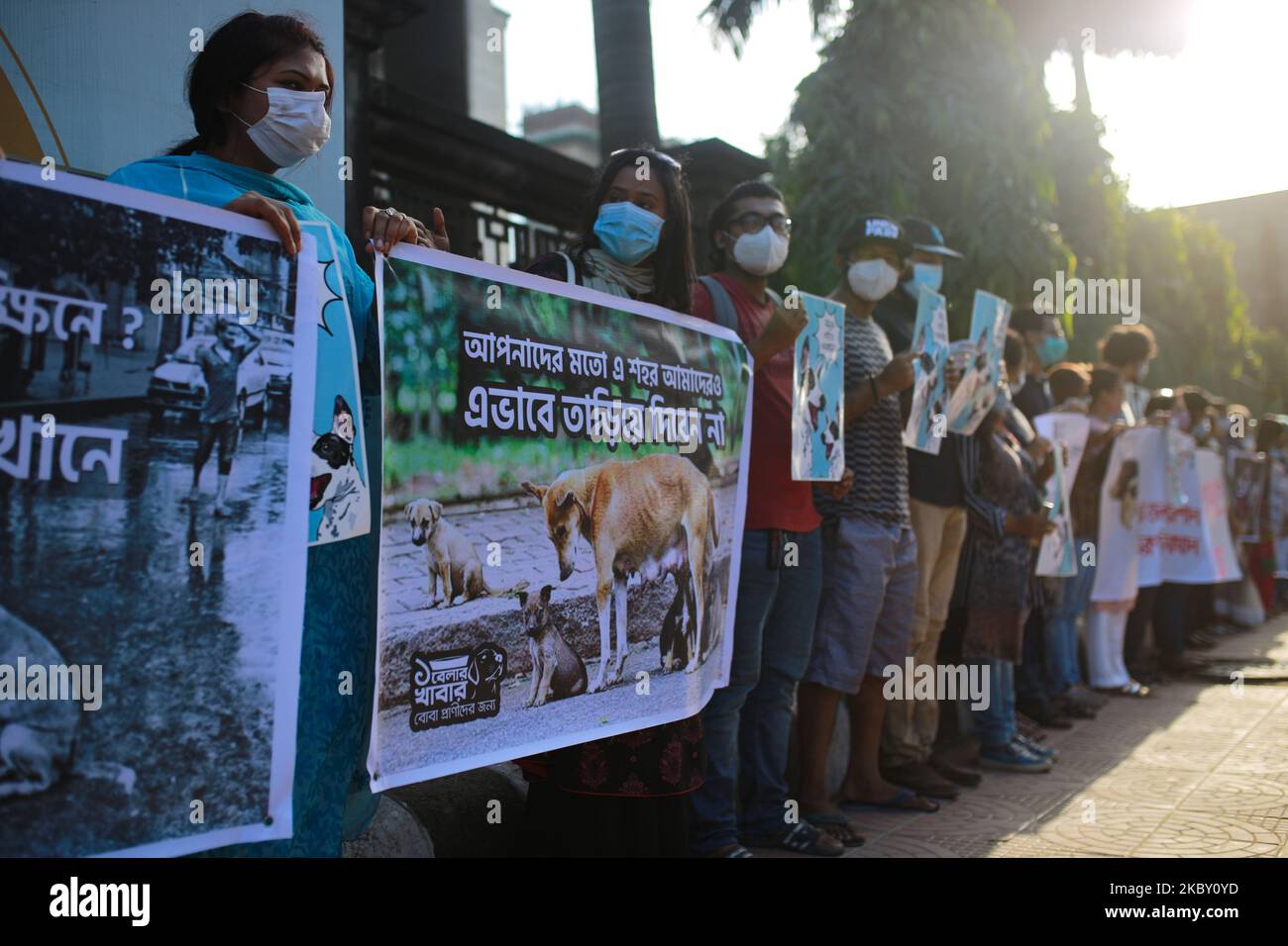 Les partisans des groupes de défense des droits des animaux forment une chaîne humaine qui proteste contre la décision des autorités de la ville de Dhaka de déplacer des chiens errants hors de la ville, devant Nagar Bhaban à Dhaka, au Bangladesh, sur 2 septembre 2020. (Photo de Rehman Asad/NurPhoto) Banque D'Images