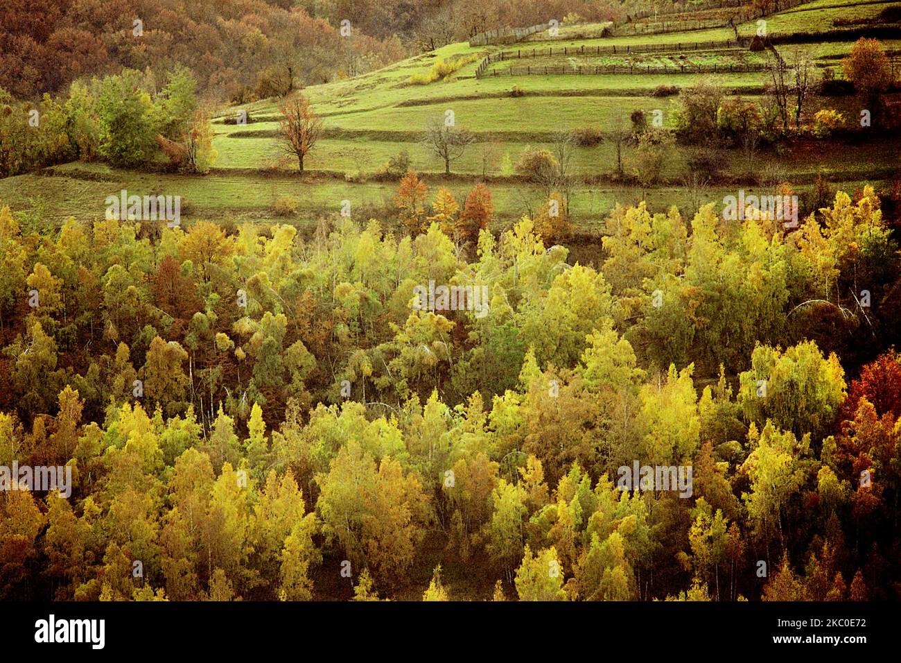 Paysage d'automne dans le pays de Pădureni, comté de Hunedoara, Roumanie, environ 2001. Banque D'Images