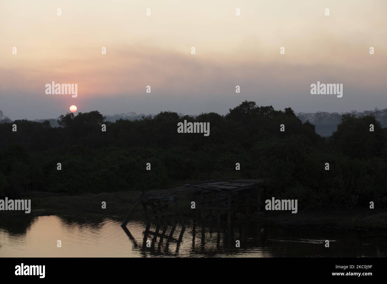 La fumée bloque la lumière du soleil au crépuscule, près de la Mutum River, dans le quartier de Mimoso, dans la ville de Barao de Melgaco, à Mato Grosso, Brésil. Le vent, la chaleur, le faible taux d'humidité, le manque de pluie et l'accès difficile rendent difficile le travail de lutte contre les incendies. Le Pantanal connaît la pire sécheresse des 50 dernières années. (Photo d'Ernesto Carrico/NurPhoto) Banque D'Images