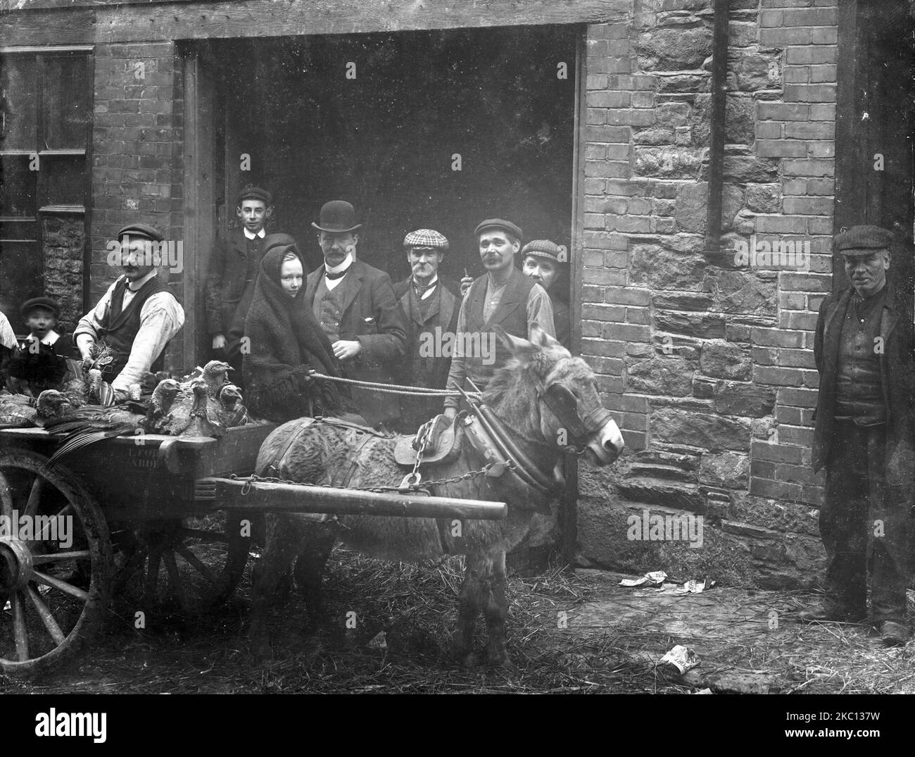 Gobble, Gobble ! - Des dindes livrées chez Flynn & Young sur conduit Lane à Waterford, Irlande - 1907 Banque D'Images