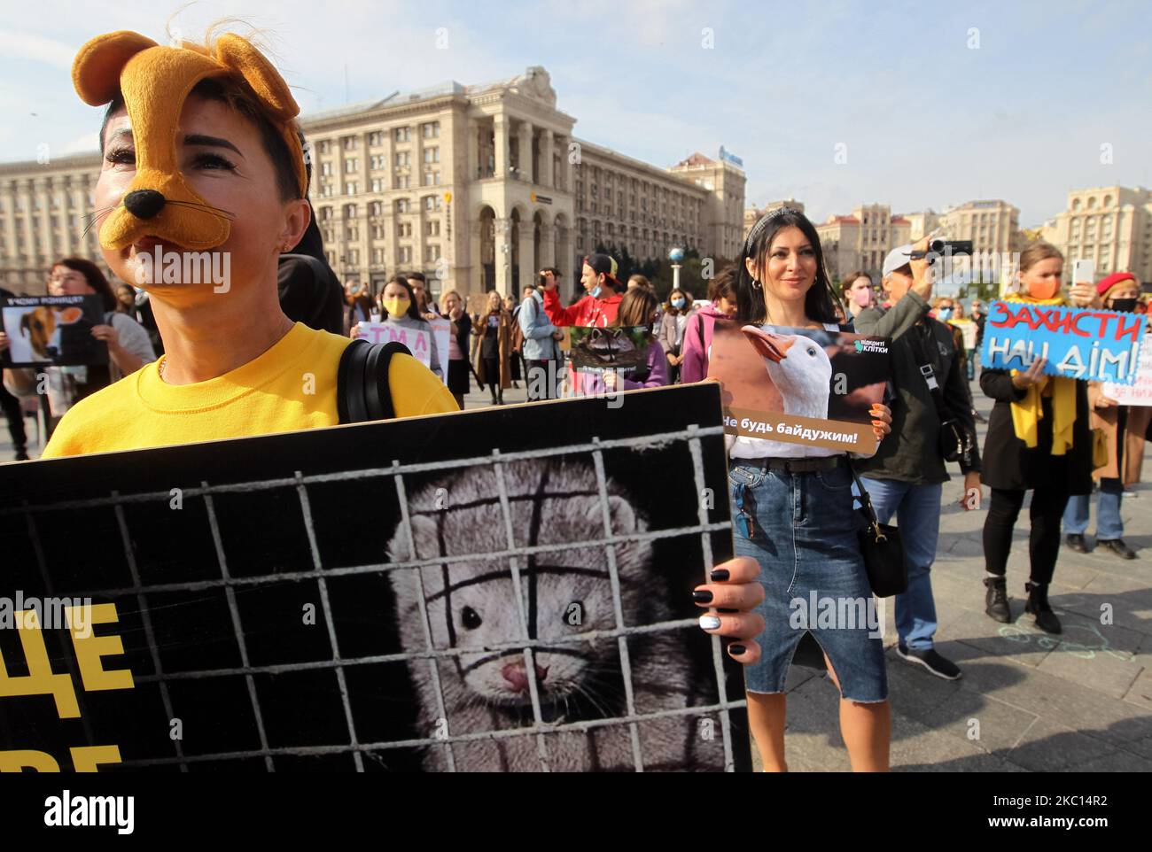 Les défenseurs des droits des animaux tiennent des pancartes lors d'un rassemblement consacré à la Journée mondiale des animaux sur la place de l'indépendance à Kiev, Ukraine, le 04 octobre 2020. Des activistes ukrainiens se sont réunis pour le rassemblement pour les droits des animaux exigeant l'interdiction des fermes de fourrure et de la chasse en Ukraine, les tests sur les animaux, l'interdiction de l'utilisation d'animaux dans les cirques, les dolphinariums, la mendicité et les services de photo avec les animaux. Le rassemblement vise à populariser les valeurs humanistes et à protéger les animaux contre la cruauté. Journée mondiale de l'animal célébrée chaque année sur 04 octobre. (Photo par STR/NurPhoto) Banque D'Images