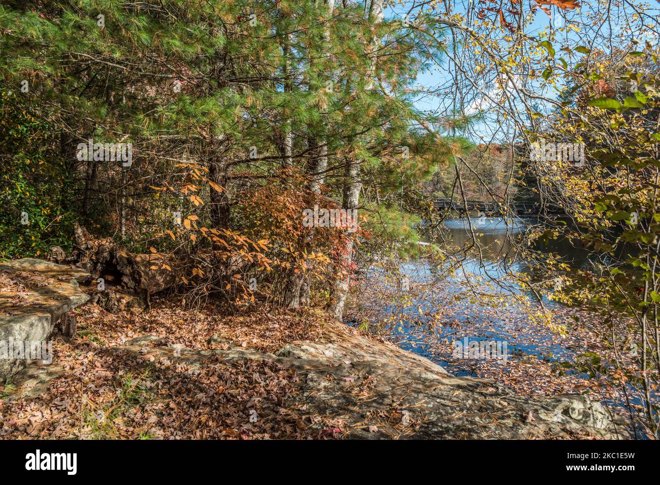 Belle scène d'automne sur un sentier de randonnée au parc national de la montagne Cumberland dans le Tennessee le long du lac avec un pont en arrière-plan traversant Banque D'Images