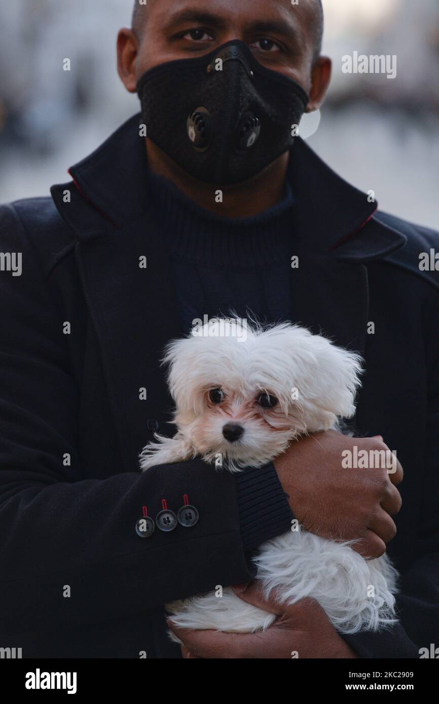 Un homme dans un masque facial protecteur porte un petit chien dans le centre-ville de Cracovie. Aujourd'hui, le ministère de la Santé a signalé 9 291 nouveaux cas de COVID-19 en Pologne, dont un nombre record de 1 486 dans la Voïvodeship de Malikopolskie. En outre, chaque tiers des personnes diagnostiquées avec COVID-19 dans la Voïvodie de Malikopolskie vit à Cracovie. Mardi, 20 octobre 2020, à Cracovie, en Pologne. (Photo par Artur Widak/NurPhoto) Banque D'Images