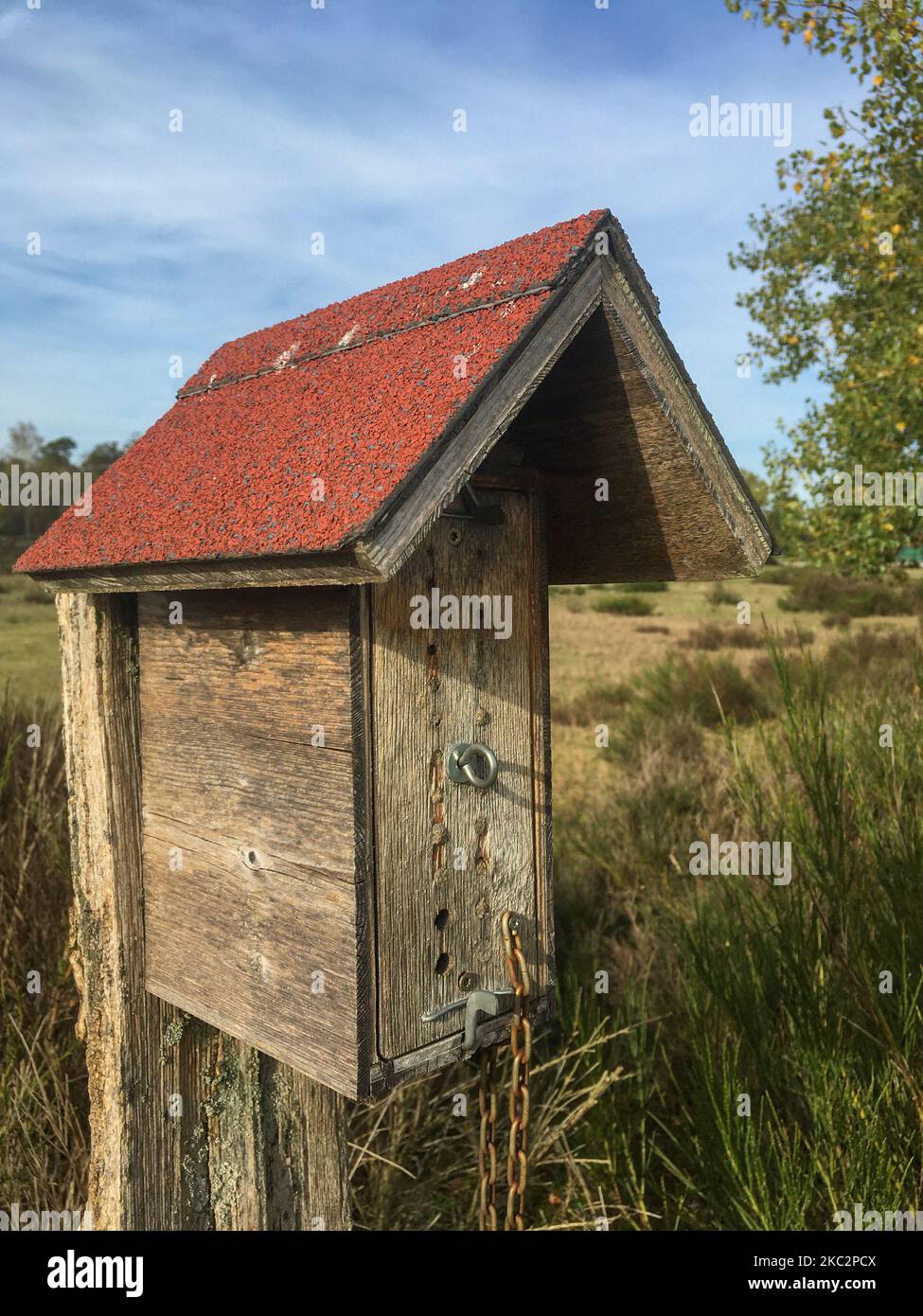 Insekten Hotel im Naturschutzgebiet Sanddünen, Sandweier - Baden-Baden Banque D'Images