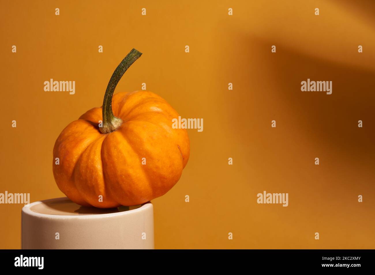 Gros plan. Une citrouille orange sur un podium en porcelaine. Arrière-plan orange avec une ombre d'une plante. Avec espace à copier. Photo de haute qualité Banque D'Images
