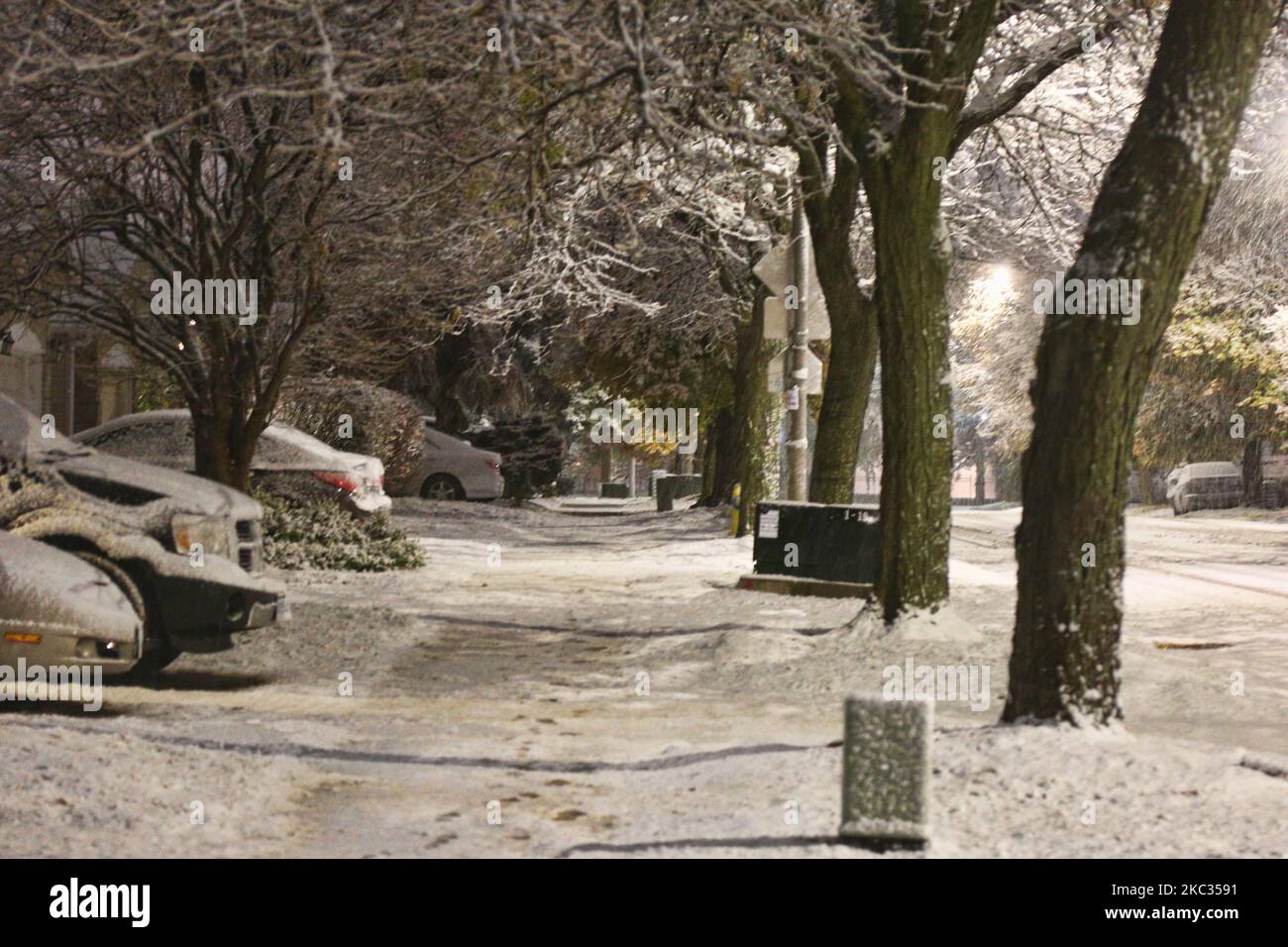 Première chute de neige de la saison à Toronto, Ontario, Canada, on 01 novembre 2020. (Photo de Creative Touch Imaging Ltd./NurPhoto) Banque D'Images