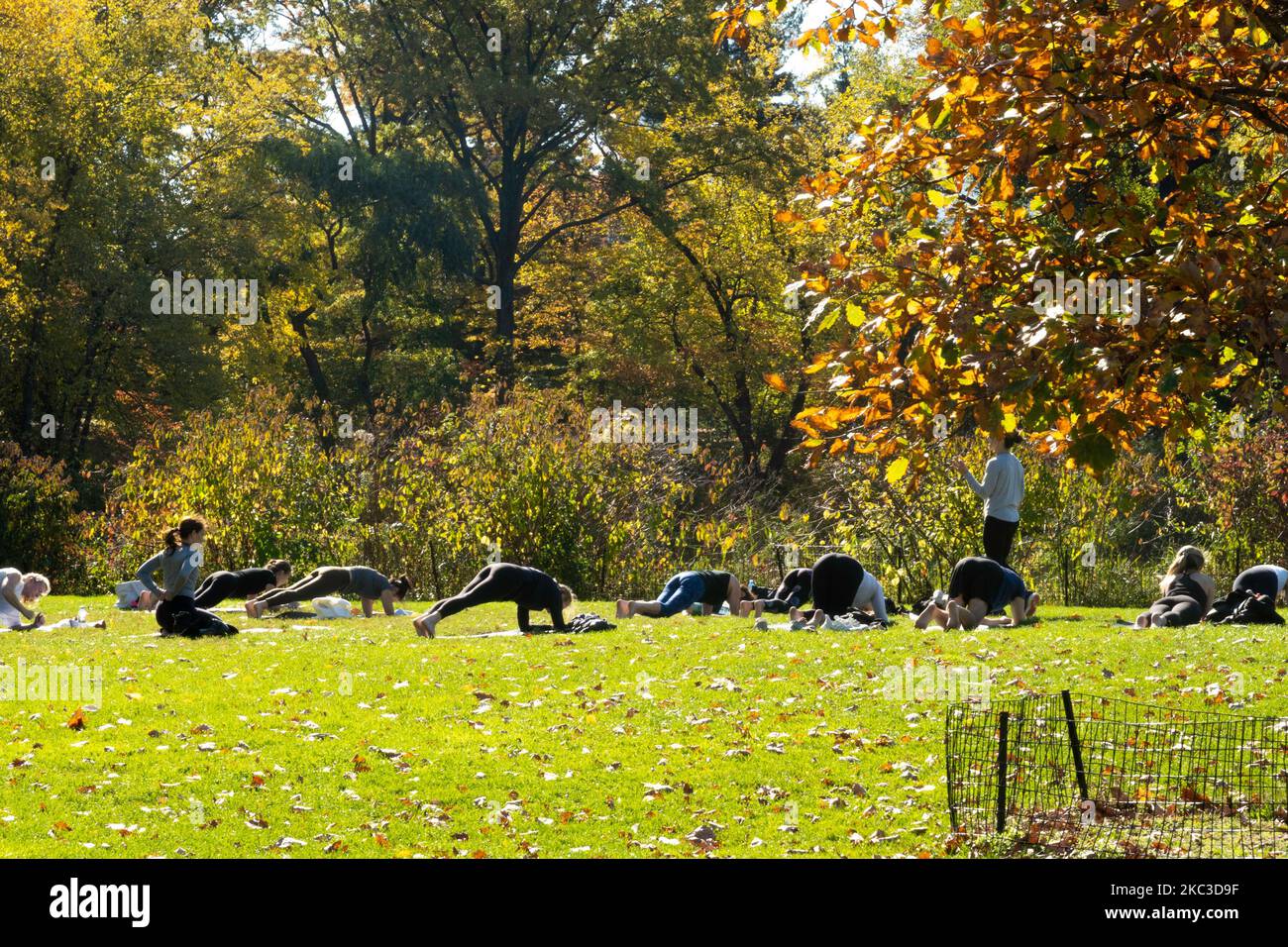 Un instructeur dirige un cours de yoga à Central Park, un jour d'automne clair, 2022, New York, États-Unis Banque D'Images