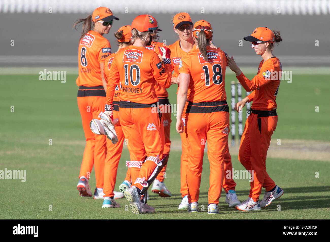 Les Scorchers célèbrent la victoire lors du match des femmes de la Ligue des Big Bash entre les Sixers de Sydney et les Scorchers de Perth à l'Oval de Hurstville, sur 08 novembre 2020, à Sydney, en Australie (photo d'Izhar Khan/NurPhoto) Banque D'Images