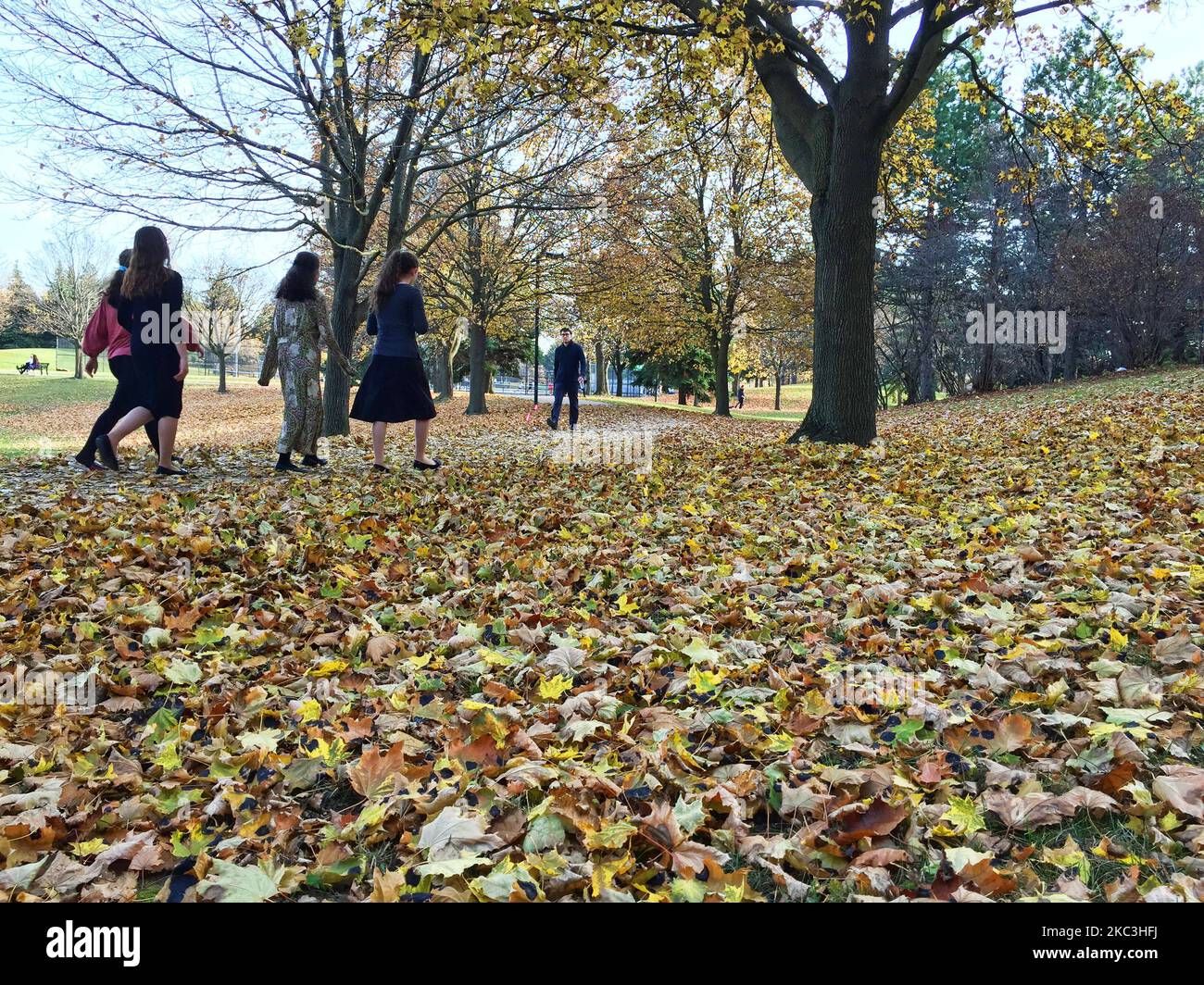 Les gens marchent parmi les feuilles d'automne dans un parc de Toronto, Ontario, Canada, on 07 novembre 2020. Toronto connaît la période la plus chaude de novembre de l'histoire avec des températures atteignant 20 degrés celsius. La température élevée de vendredi de 20,8 °C a battu le record de 20,5 °C établi en 2015 et les températures du dimanche à Toronto devraient atteindre 20 °C. Cette tendance se poursuivra également dans les premiers jours de la semaine prochaine. (Photo de Creative Touch Imaging Ltd./NurPhoto) Banque D'Images
