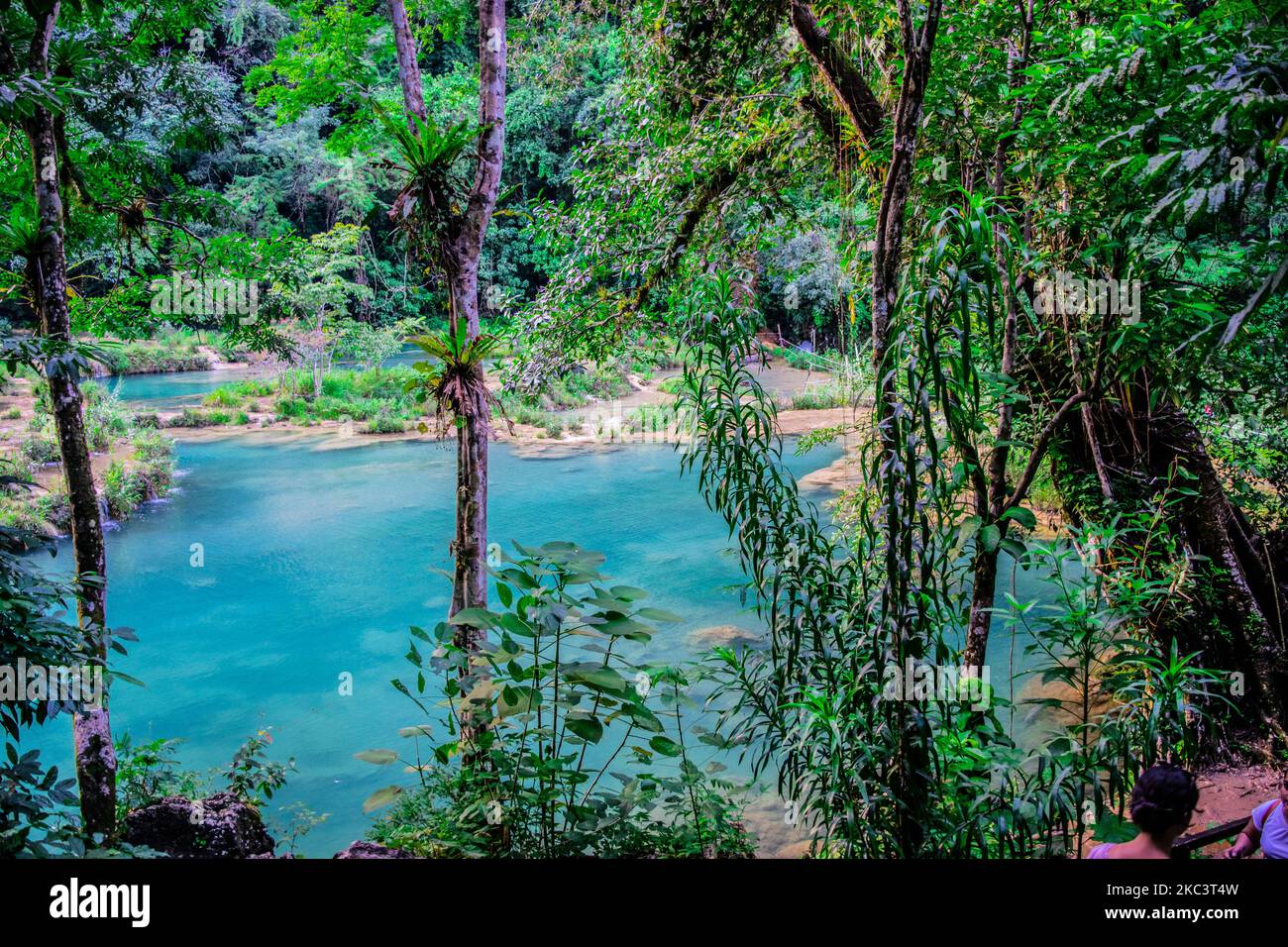 ríos azul en medio de bosque Banque D'Images