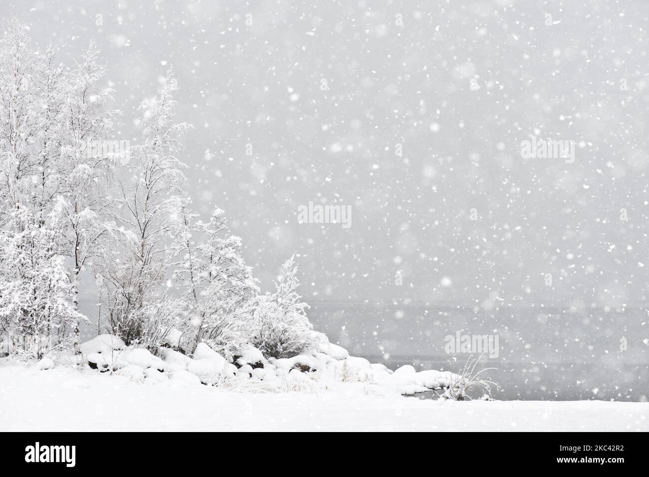Paysage d'hiver. Neige fraîchement tombée recouvrant le lac et les arbres Banque D'Images