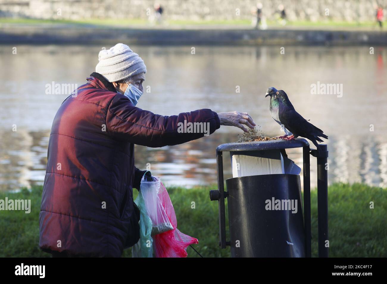 Une vieille femme nourrit des pigeons pendant une pandémie de coronavirus. Cracovie, Pologne sur 11 novembre 2020. Des mesures plus sévères pour combattre le COVID-19 sont entrées en vigueur en Pologne au début du mois, après une augmentation des cas dans le cadre d'une deuxième vague de pandémie. Les centres commerciaux ont été initialement commandés pour limiter leurs opérations jusqu'à au moins 27 décembre, mais rouvriront sur 28 novembre, en vertu de réglementations sanitaires strictes. (Photo de Beata Zawrzel/NurPhoto) Banque D'Images