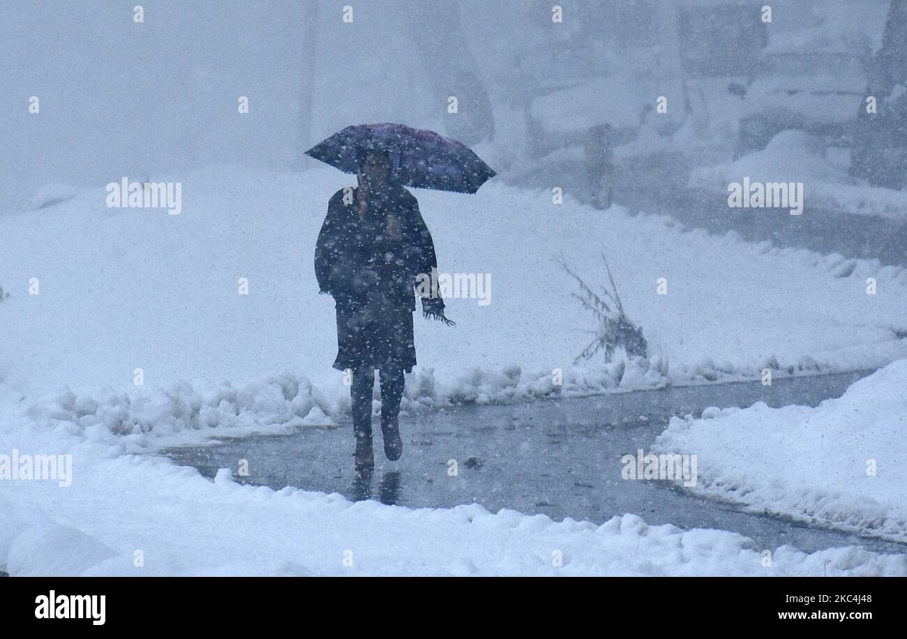 Une femme marche pendant la chute de neige dans le nord du Cachemire sur 24 novembre 2020.le météo a prédit plus de pluie et de neige tandis que le département de gestion des catastrophes de Jammu-et-Cachemire a mis en garde contre les avalanches dans les régions supérieures du Cachemire, en particulier dans les parties nord et a demandé aux gens de rester vigilants. (Photo par Faisal Khan/NurPhoto) Banque D'Images