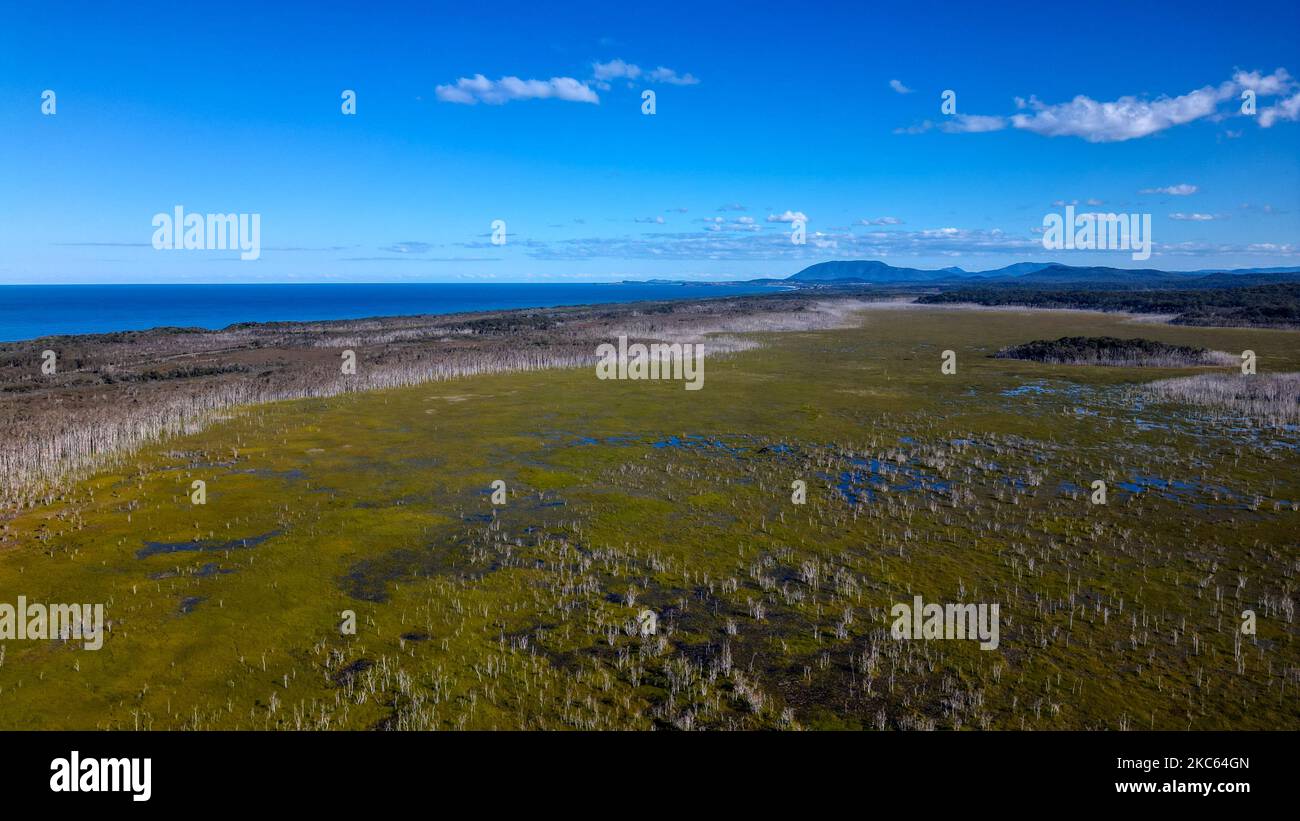 Vue sur la côte et la mer à Port Macquarie, en Australie Banque D'Images