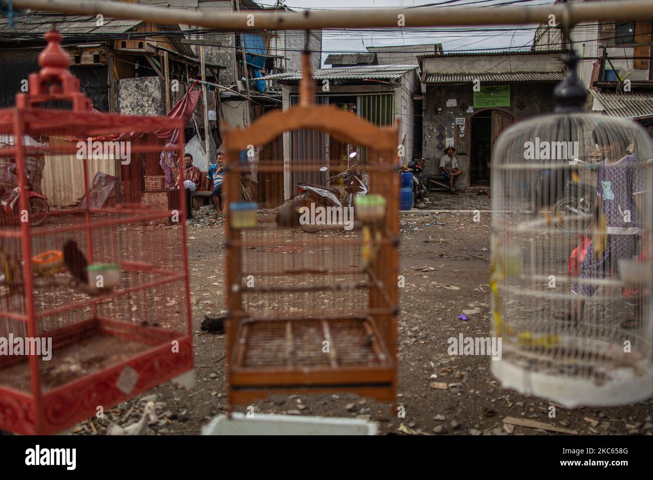 Cages d'oiseaux dans un bidonville, Jakarta sur 19 décembre 2020. L'Indonésie a enregistré plus de 2 500 décès liés au coronavirus au cours des 18 derniers jours et se préparent à d'autres décès dans les prochaines semaines, tandis que les nouveaux cas confirmés augmentent également à un rythme sans précédent. (Photo par Afriadi Hikmal/NurPhoto) Banque D'Images