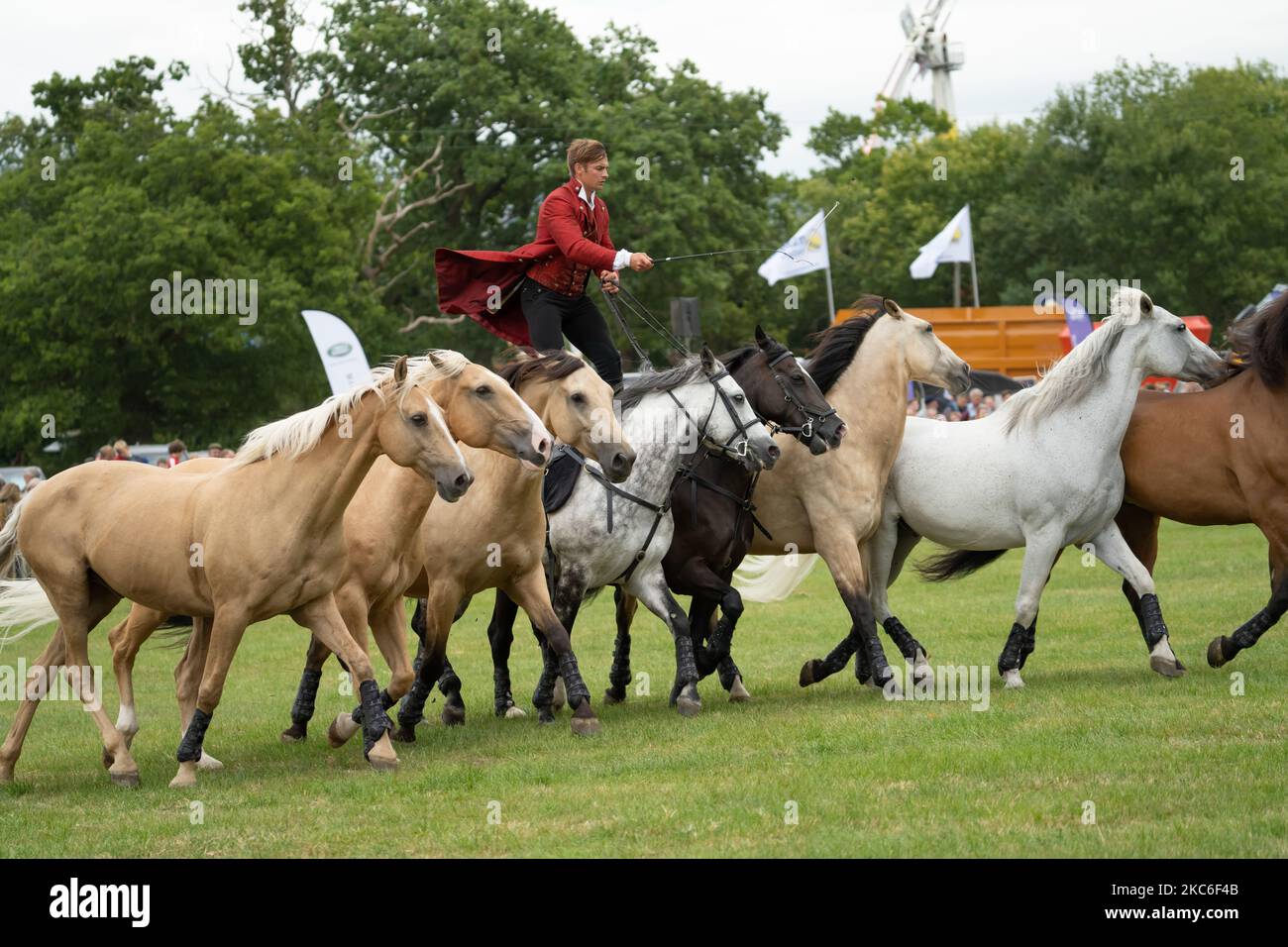 Les chevaux Atkinson se présentant au spectacle Denbighshire et Flintshire 8th août 2022 Banque D'Images