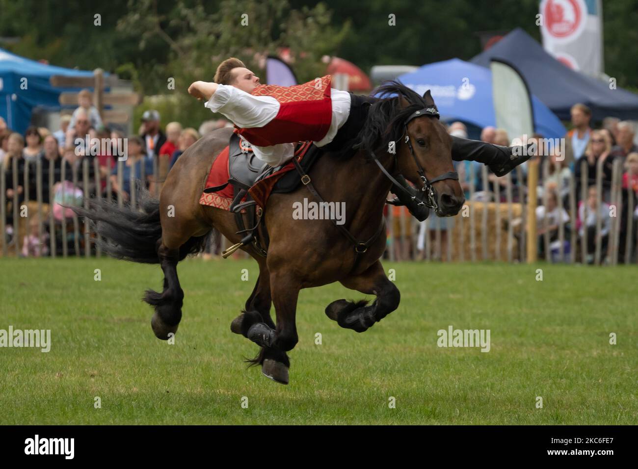 Les chevaux Atkinson se présentant au spectacle Denbighshire et Flintshire 8th août 2022 Banque D'Images