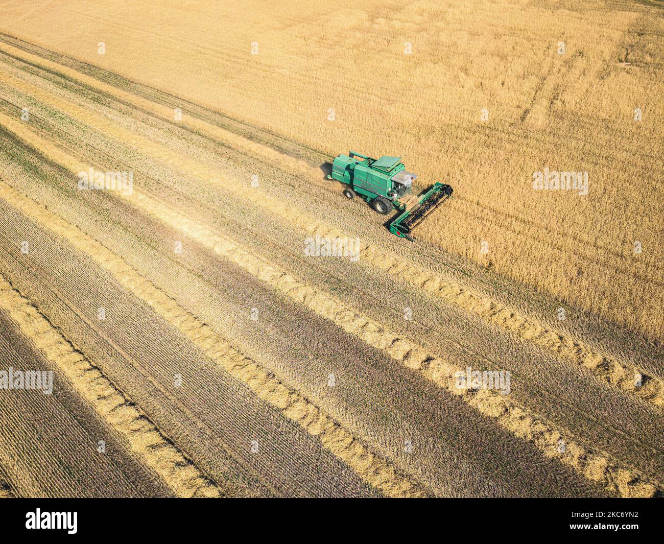 Antenne d'une moissonneuse-batteuse moissonnant une récolte dans un champ. Banque D'Images