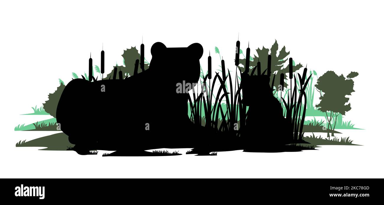 Mère ours avec cub. Animaux sauvages. Glade dans le marais. Herbe et roseaux. Silhouette. Isolé sur fond blanc. Vecteur. Illustration de Vecteur