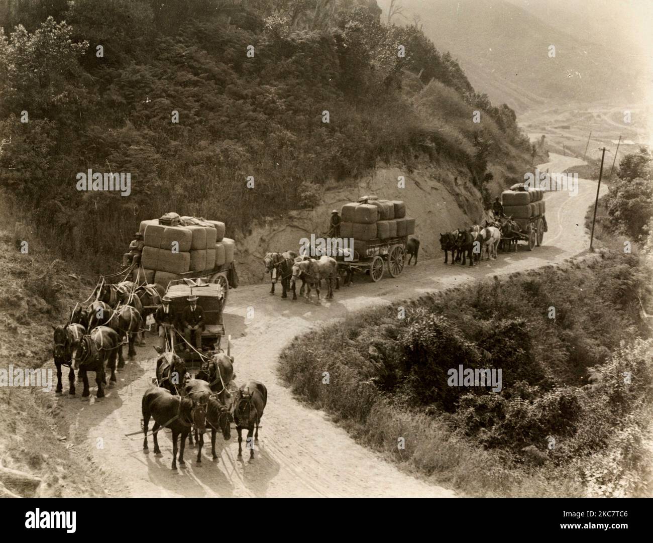 Un stagecoach passe trois wagons qui cartent des balles de laine dans le haut pays des Alpes du Sud, en Nouvelle-Zélande, vers 1920 Banque D'Images