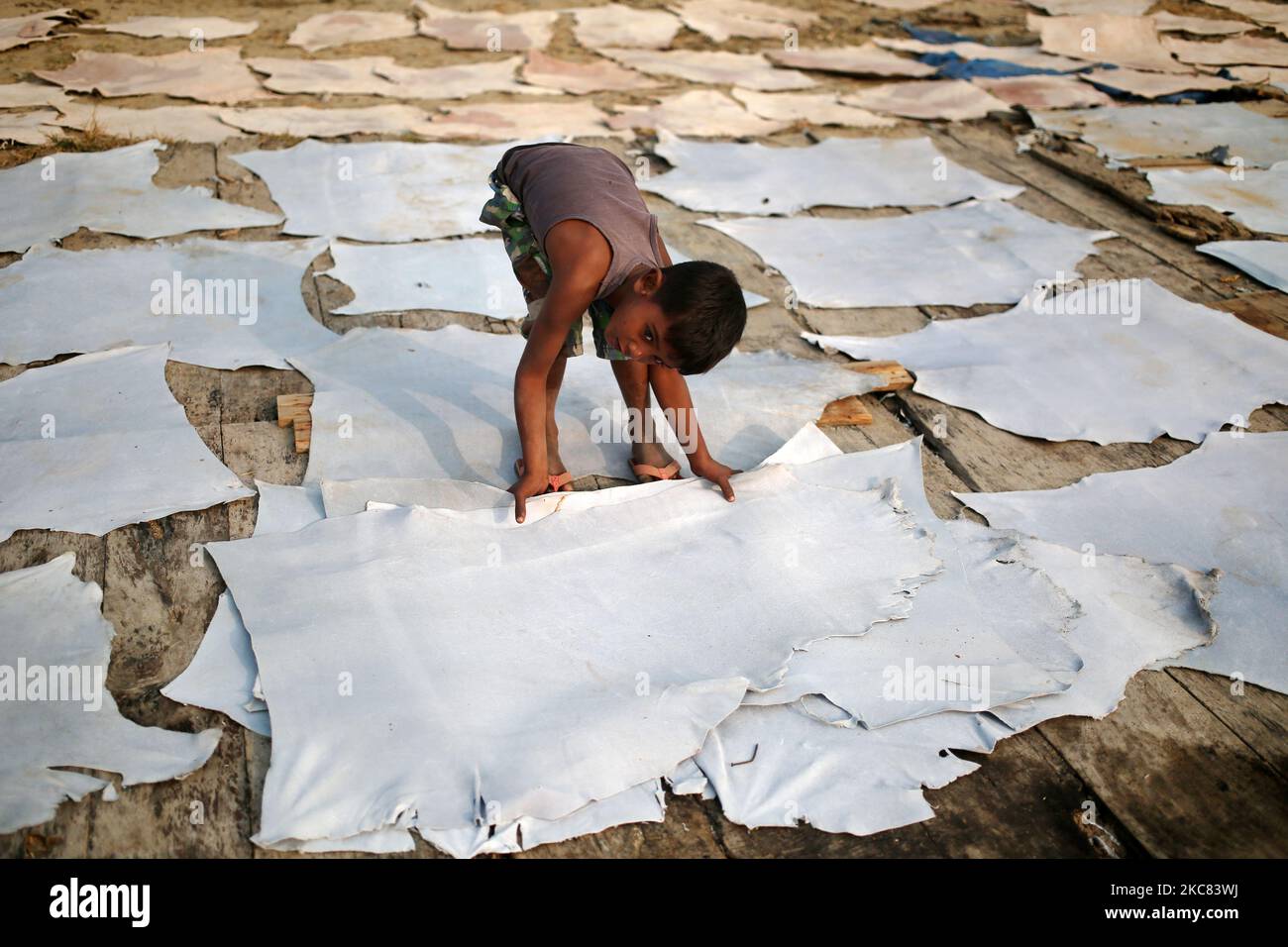 Shaon (6), aide ses parents travailleurs dans une tannerie dans une région à faible revenu à Keraniganj, Dhaka, Bangladesh, dimanche, 24 janvier 2021. Selon la législation du travail au Bangladesh, l'âge minimum d'admission à l'emploi est de 14 ans. L’application d’une telle loi du travail est pratiquement impossible dans le pays parce que la plupart des enfants travailleurs sont employés dans des secteurs internes comme les petites usines, les ateliers, les rues, les entreprises à domicile et l’emploi domestique. (Photo de Syed Mahamudur Rahman/NurPhoto) Banque D'Images