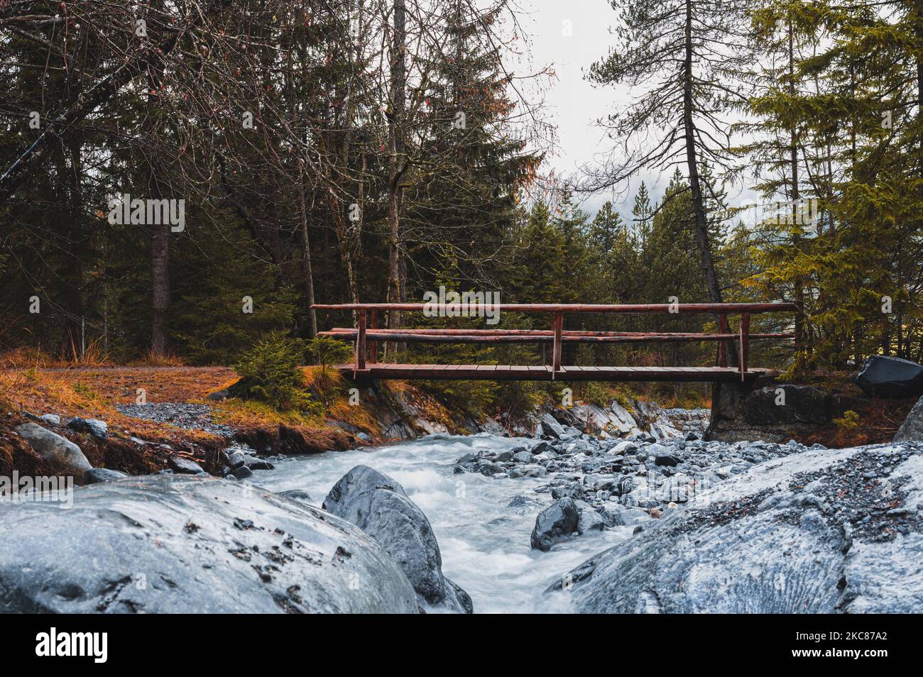 Un vieux petit pont en bois au-dessus d'une rivière dans la forêt d'automne pendant la journée Banque D'Images