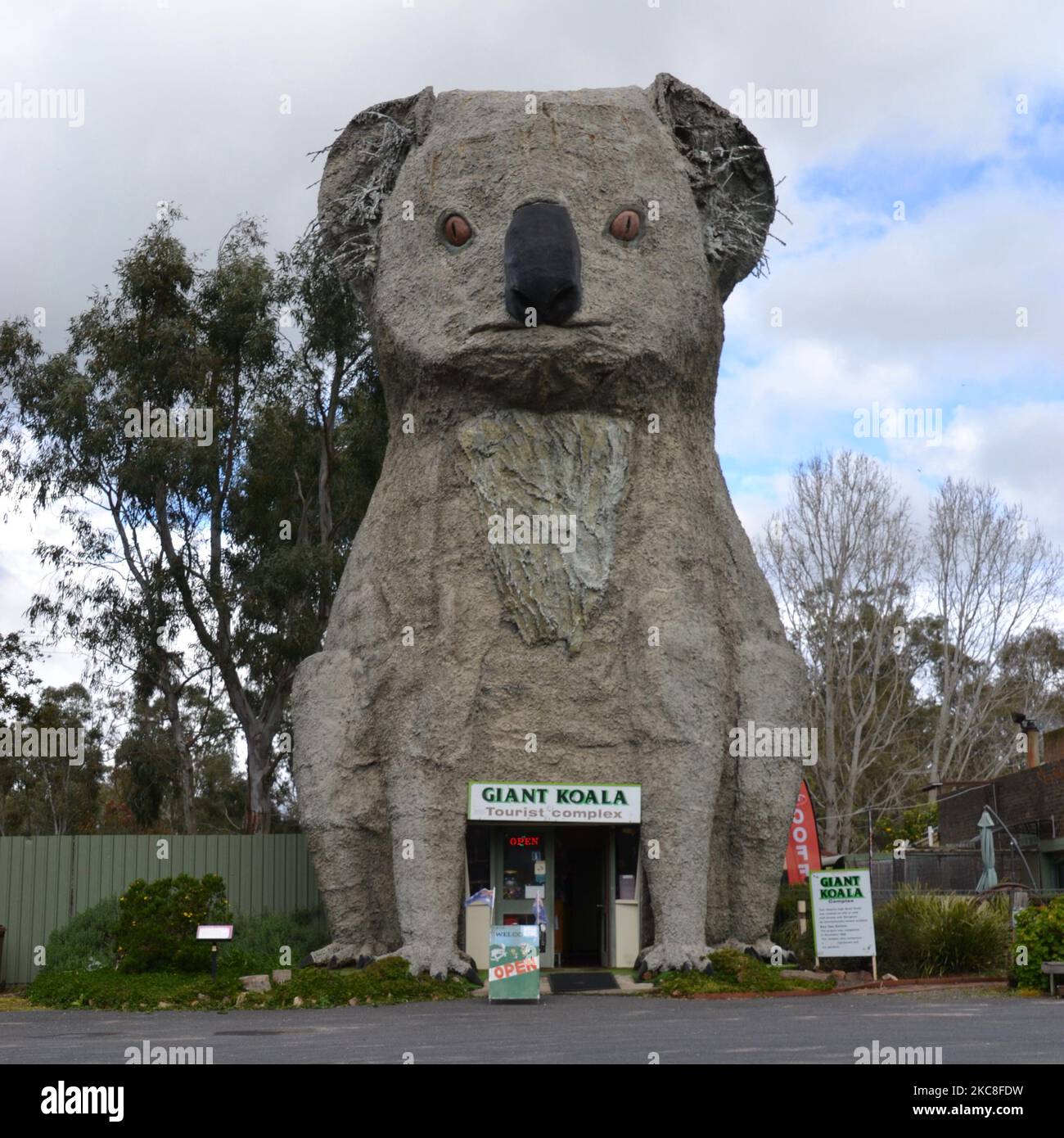 Le koala géant de Victoria est l'une des « grandes choses » promotionnelles originales d'Australie, faites de ciment et faites un arrêt sur la route dans le quartier occidental Banque D'Images
