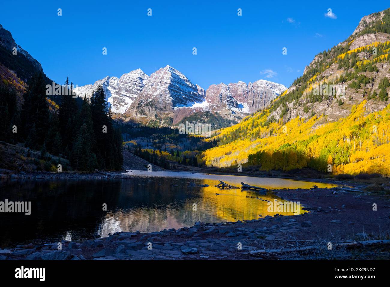 Couleur d'automne à Maroon Bells dans les montagnes de l'élan, près d'Aspen Colorado. Banque D'Images