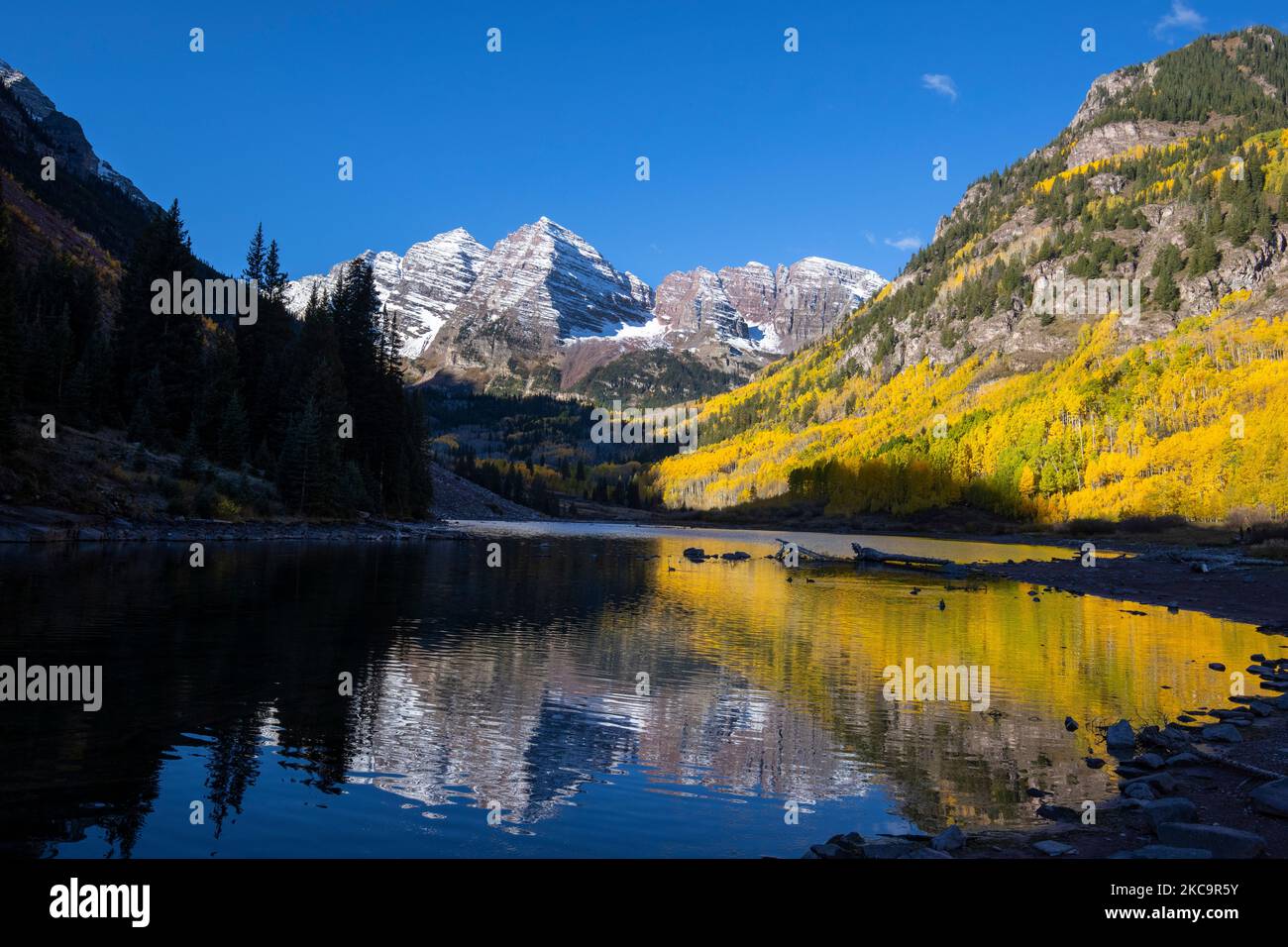 Couleur d'automne à Maroon Bells dans les montagnes de l'élan, près d'Aspen Colorado. Banque D'Images