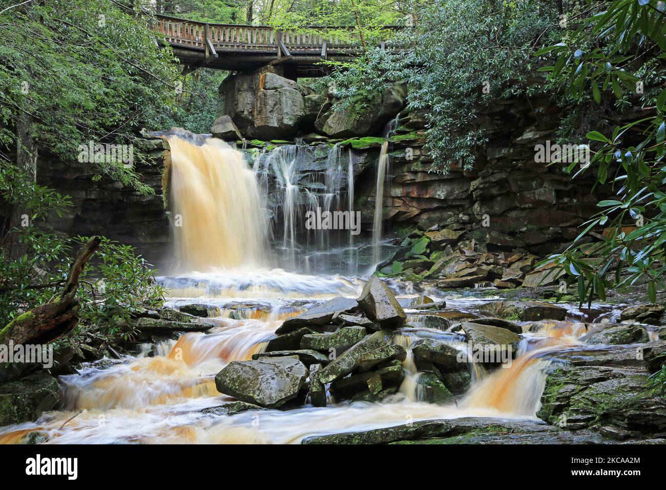 Vue sur les chutes d'Elakala - Virginie-Occidentale Banque D'Images