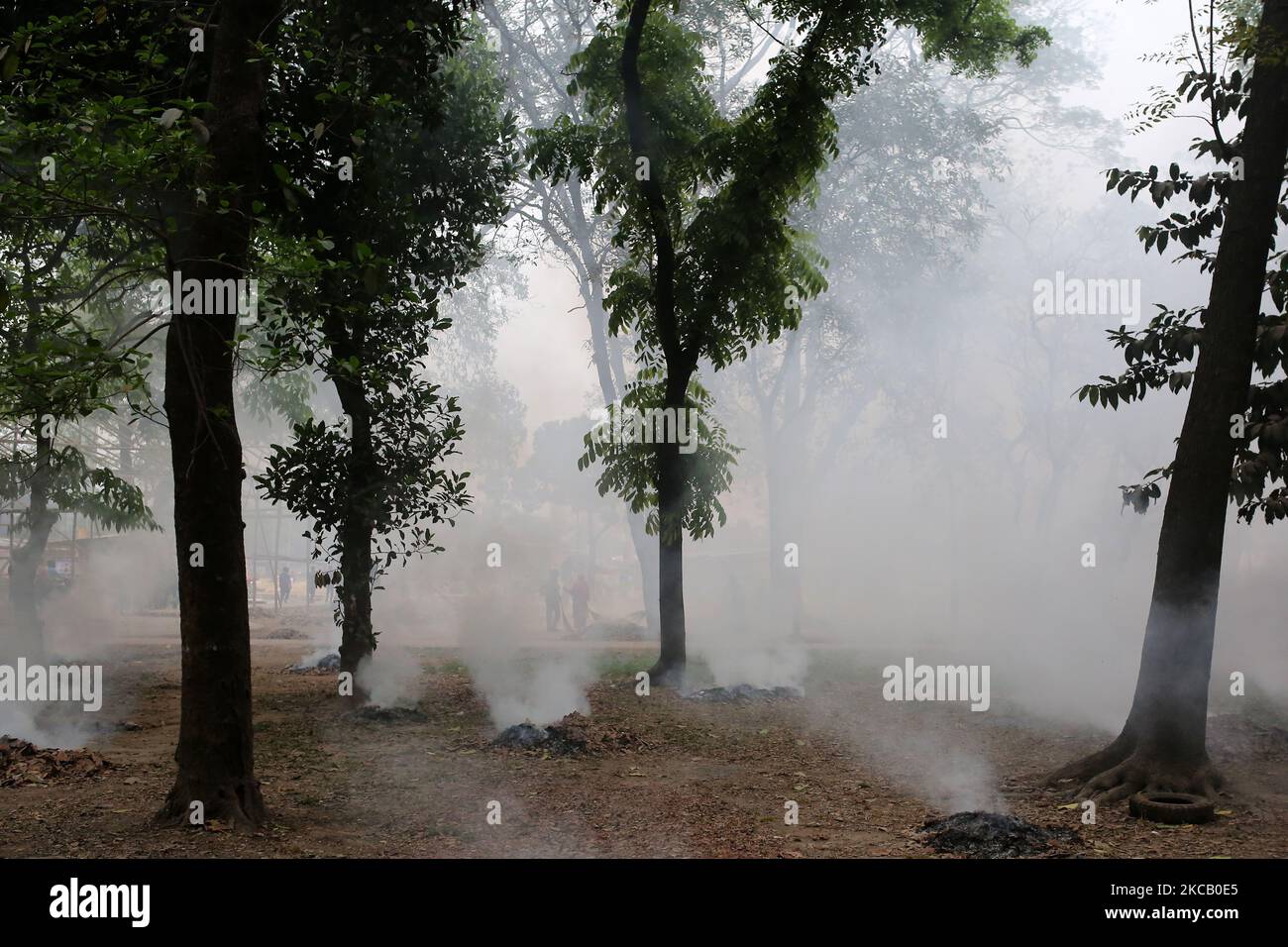 Les feuilles tombées sont considérées comme brûlantes tandis que les travailleurs nettoient un parc à Dhaka, au Bangladesh, sur 13 mars , 2021. (Photo de Syed Mahamudur Rahman/NurPhoto) Banque D'Images Les feuilles tombées sont considérées comme brûlantes tandis que les travailleurs nettoient un parc à Dhaka, au Bangladesh, sur 13 mars , 2021. (Photo de Syed Mahamudur Rahman/NurPhoto) Banque D'Images