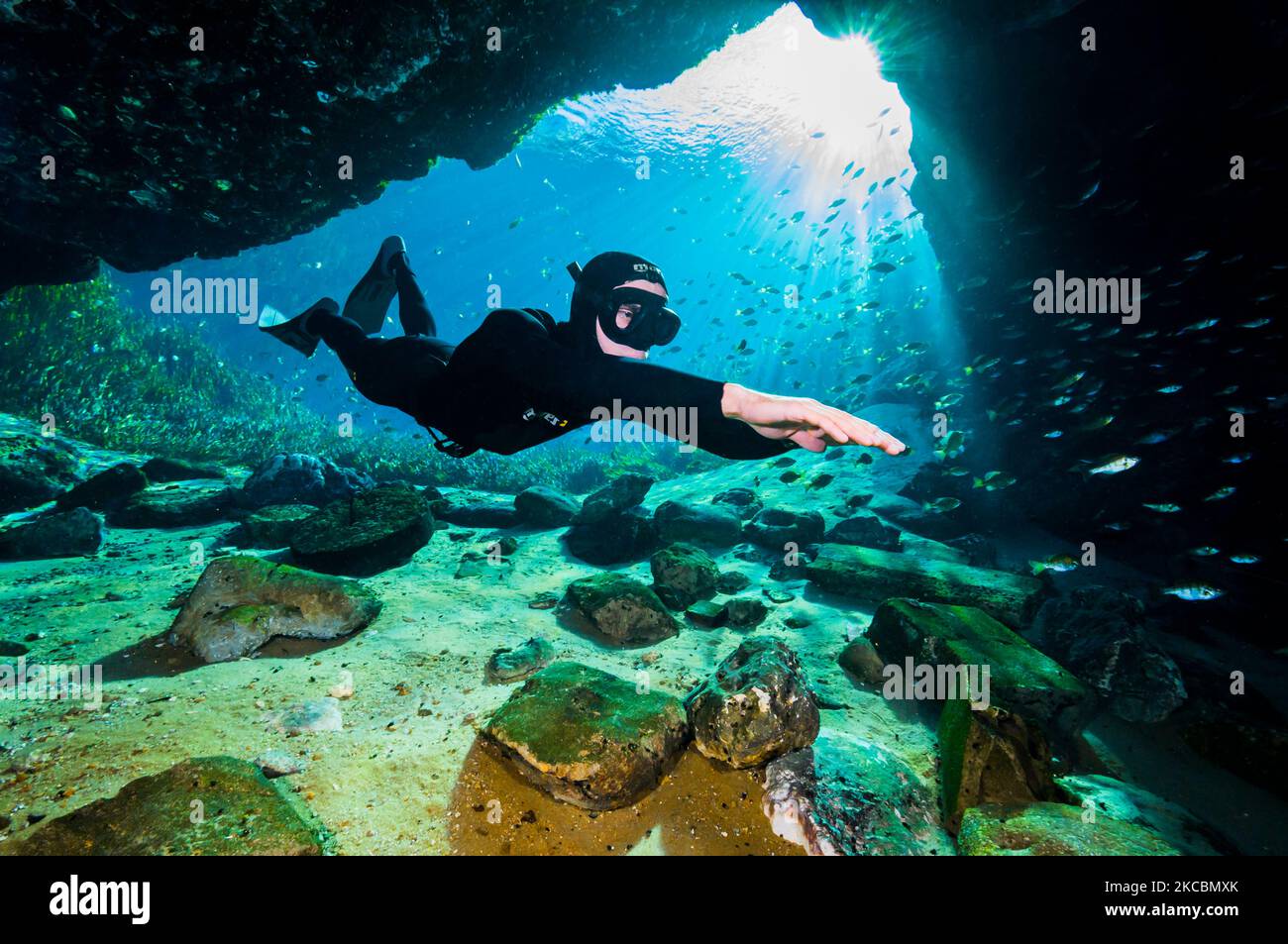 Plongée dans Jackson Blue Springs à Marianna, Floride. Banque D'Images