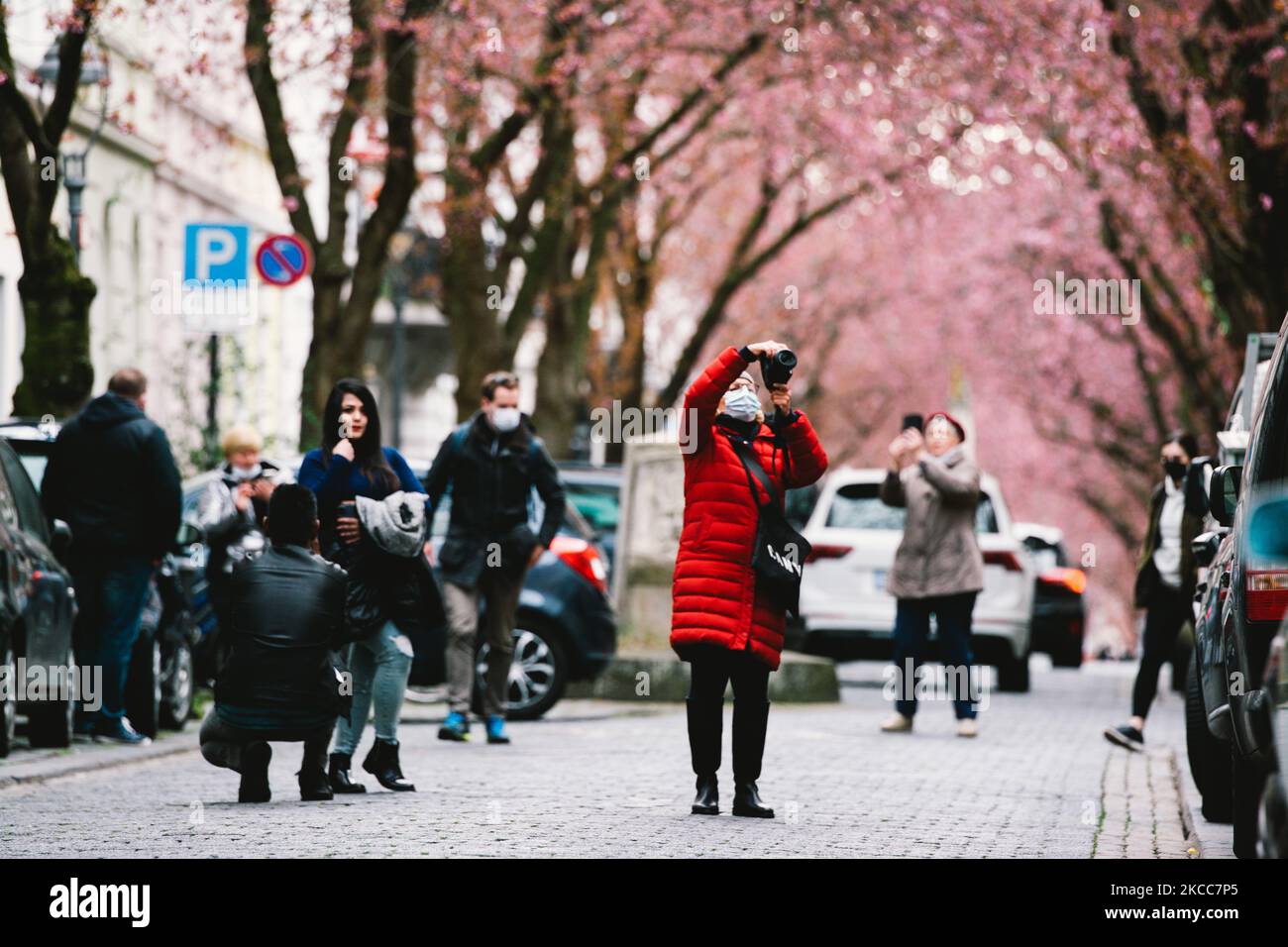 Les gens prennent des photos sous les cerisiers en fleurs dans le quartier historique de Bonn, Allemagne sur Apirl 4, 2021 (photo par Ying Tang/NurPhoto) Banque D'Images