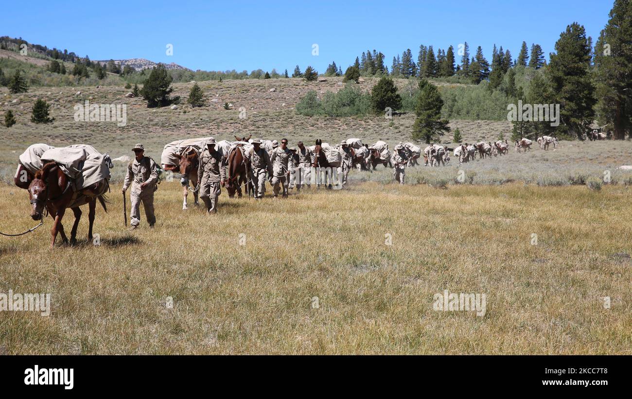Formation de Marines aux États-Unis au centre de formation de Marine corps Mountain Warfare en Californie. Banque D'Images