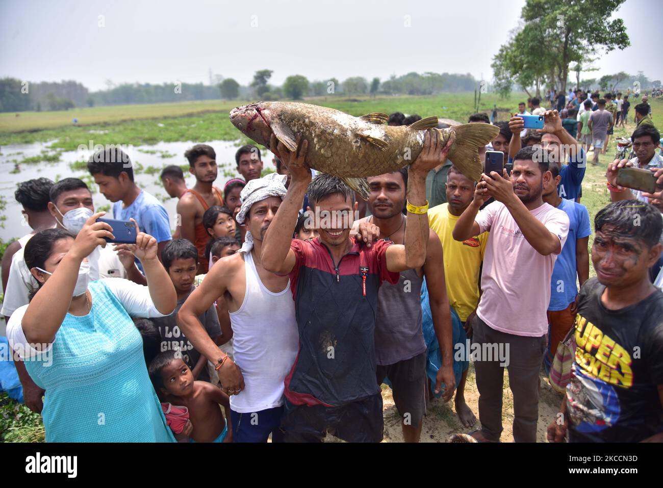 Les villageois montrent les poissons capturés lors de la séance de pêche communautaire pour célébrer les fêtes de Rongali ou de Bohag Bihu au lac Digholi, dans le district de Nagaon, dans l'État d'Assam, en Inde, sur 13 avril,2021. (Photo par Anuwar Hazarika/NurPhoto) Banque D'Images