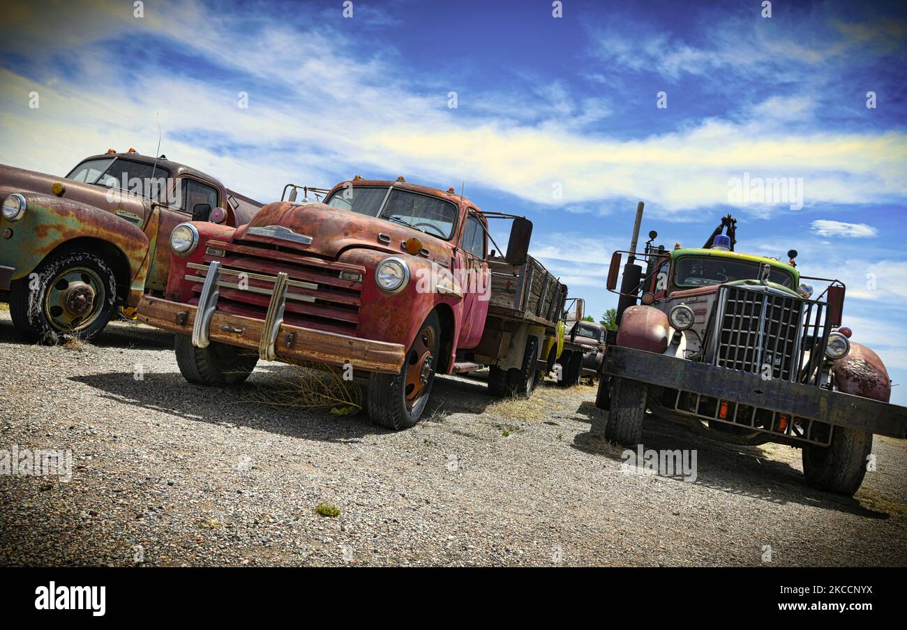 Classic Work Trucks Patina sous le ciel du désert du Nouveau-Mexique Banque D'Images