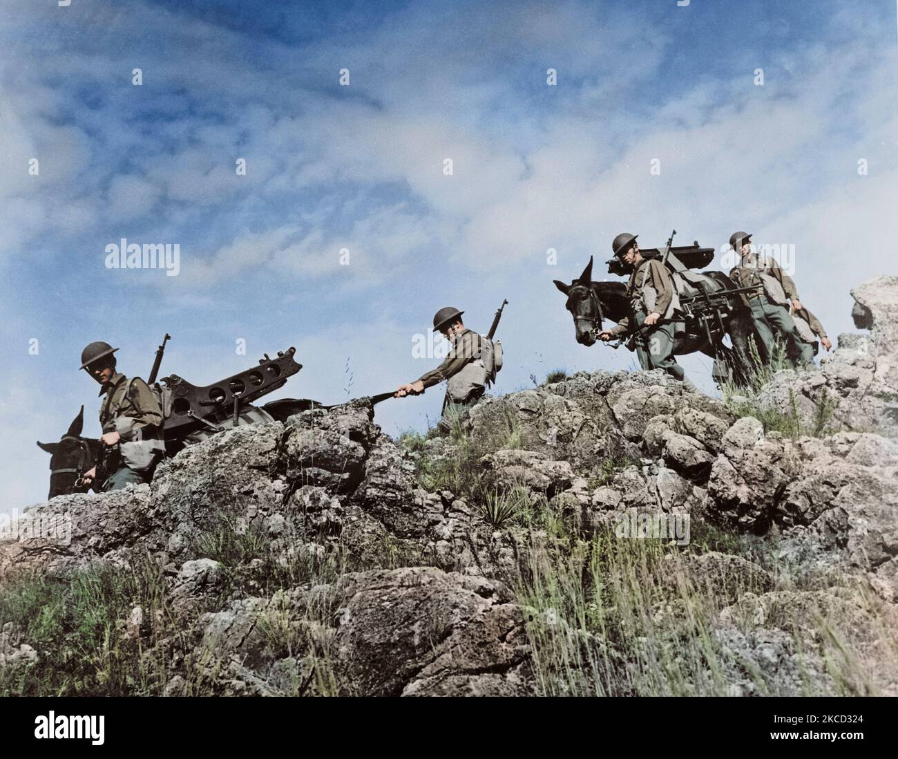 Les artilleurs de l'Armée de l'utilisation de mules pour transporter leur équipement en terrain accidenté, vers 1942. Banque D'Images