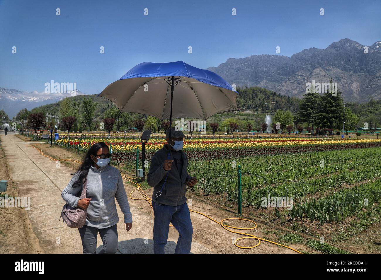 Les touristes sont vus au jardin Indira Gandhi Memorial Tulip à Srinagar le 24 avril 2021. Le tourisme au Cachemire a commencé sur une note prometteuse au début de la nouvelle année. Cependant, avec la deuxième vague de ravages à travers le pays, l'afflux de touristes a commencé à se tasser.Â au cours des deux dernières semaines, la plupart des réservations à l'avance dans les hôtels et les bateaux de ménage à travers le Cachemire ont été annulées, Les parties prenantes ont déclaré: Couvre-feu de fin de semaine à Jammu-et-Cachemire de ce soir 8pm au lundi 6am pour freiner la propagation de Covid-19 (photo de Nasir Kachroo/NurPhoto) Banque D'Images