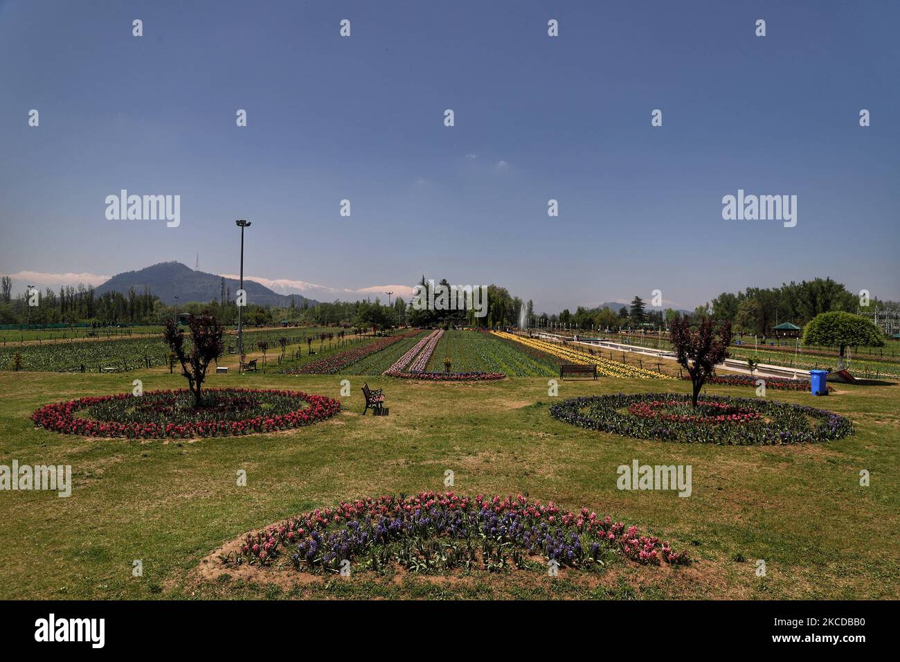 Vue déserte du jardin de tulipes Indira Gandhi Memorial à Srinagar, Jammu-et-Cachemire, Inde, le 24 avril 2021. Le tourisme au Cachemire a commencé sur une note prometteuse au début de la nouvelle année. Cependant, avec la deuxième vague de ravages à travers le pays, l'afflux de touristes a commencé à se tasser.Â au cours des deux dernières semaines, la plupart des réservations à l'avance dans les hôtels et les bateaux de ménage à travers le Cachemire ont été annulées, Les parties prenantes ont déclaré: Couvre-feu de fin de semaine à Jammu-et-Cachemire de ce soir 8pm au lundi 6am pour freiner la propagation de Covid-19 (photo de Nasir Kachroo/NurPhoto) Banque D'Images