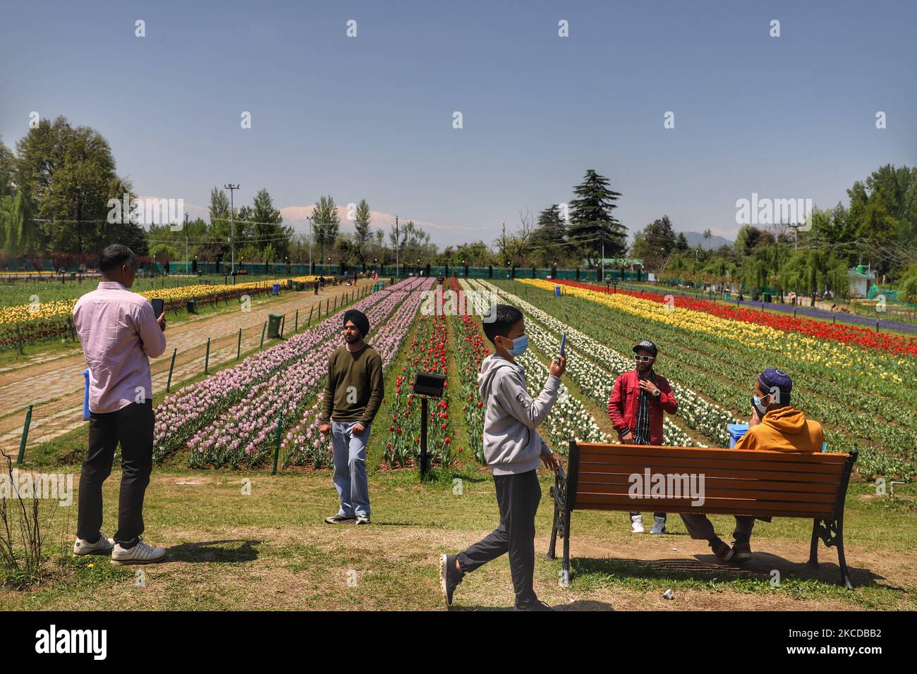 Les touristes sont vus au jardin Indira Gandhi Memorial Tulip à Srinagar, Jammu-et-Cachemire, Inde, le 24 avril 2021. Le tourisme au Cachemire a commencé sur une note prometteuse au début de la nouvelle année. Cependant, avec la deuxième vague de ravages à travers le pays, l'afflux de touristes a commencé à se tasser.Â au cours des deux dernières semaines, la plupart des réservations à l'avance dans les hôtels et les bateaux de ménage à travers le Cachemire ont été annulées, Les parties prenantes ont déclaré: Couvre-feu de fin de semaine à Jammu-et-Cachemire de ce soir 8pm au lundi 6am pour freiner la propagation de Covid-19 (photo de Nasir Kachroo/NurPhoto) Banque D'Images