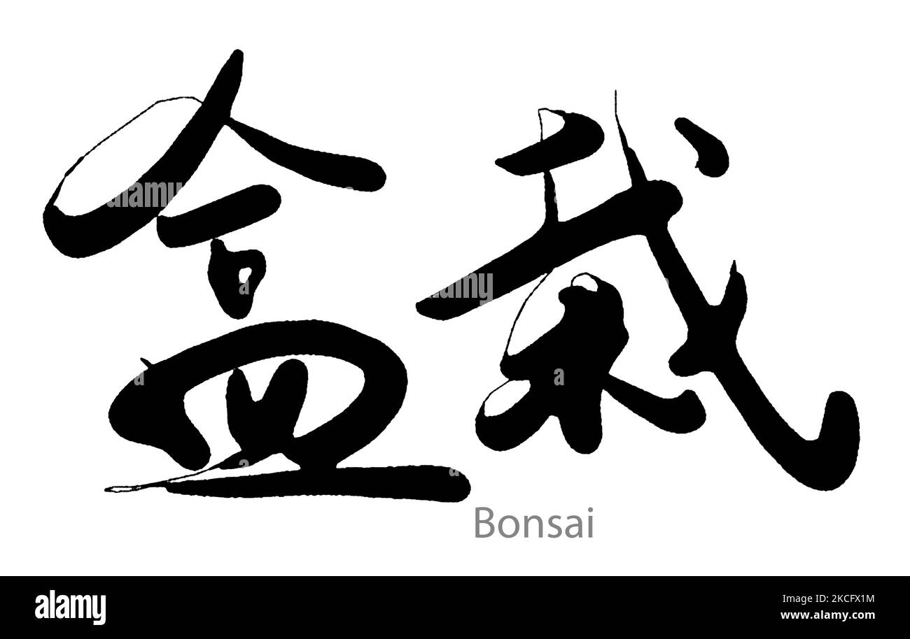 Calligraphie dessinée à la main du mot Bonsai sur fond blanc, rendu 3D Banque D'Images
