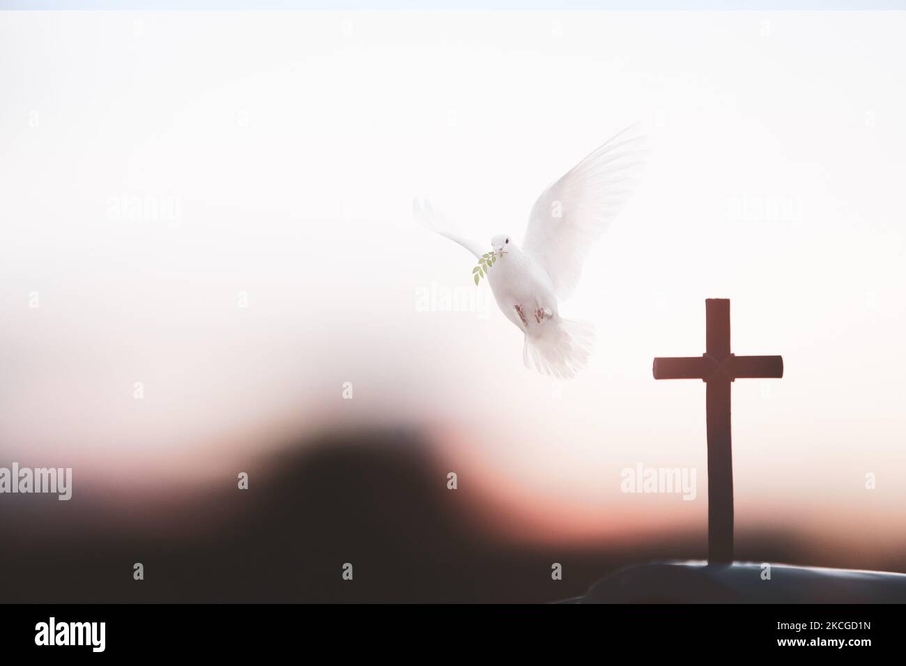 La colombe blanche et la sainte croix de Jésus-Christ symbolisent l'amour de la mort et de la résurrection. Banque D'Images