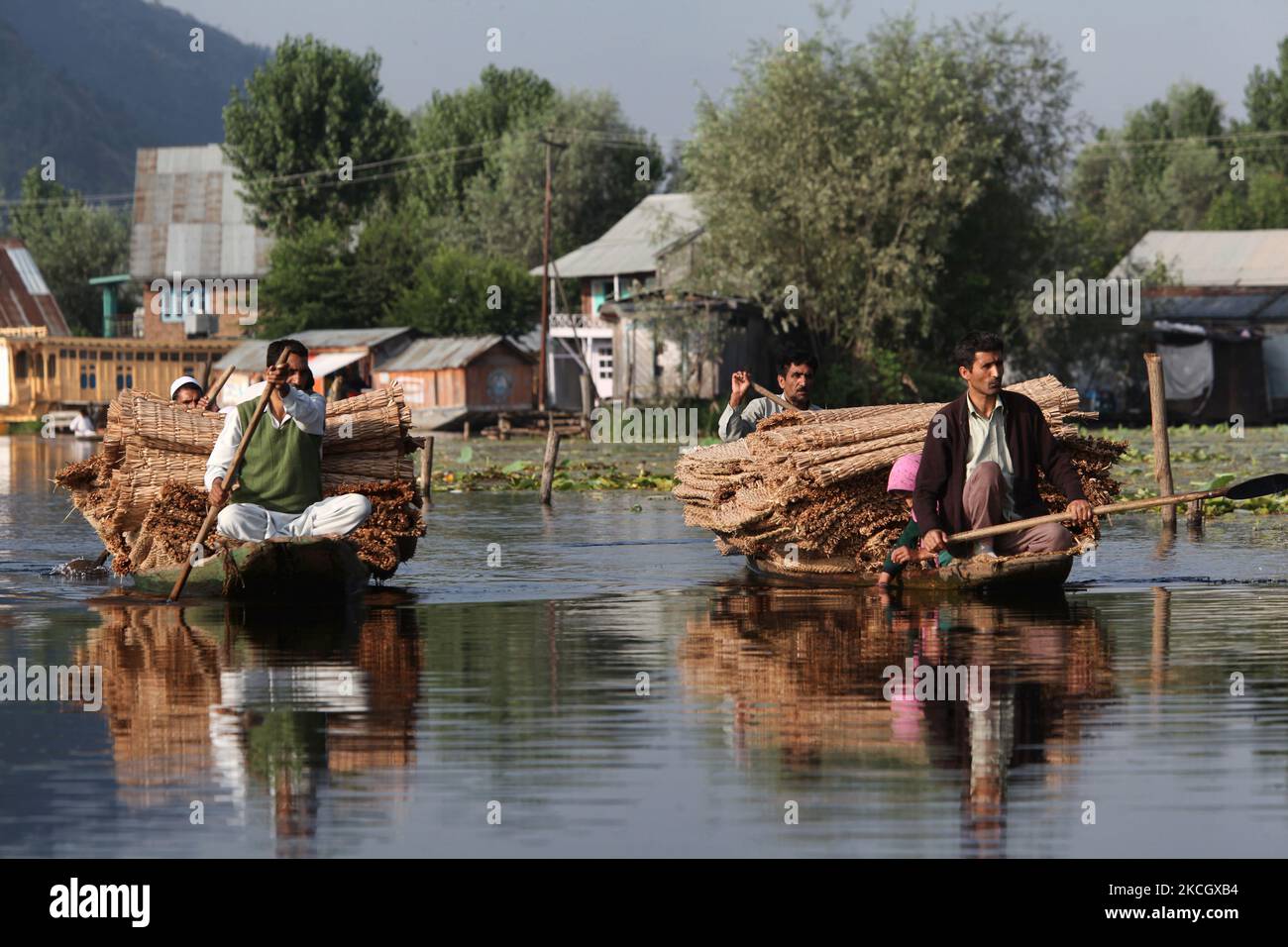 Les boatmen de Kashmiri pagayez de petits bateaux remplis de tapis de roseau faits à la main qu'ils ont l'intention de vendre le long du lac Dal à Srinagar, Cachemire, Inde. Les boatmen de Kashmiri reposent sur ces tapis de roseau traditionnels et sont utilisés sur la plupart des petits bateaux sur le lac Dal et le lac Nagin. (Photo de Creative Touch Imaging Ltd./NurPhoto) Banque D'Images