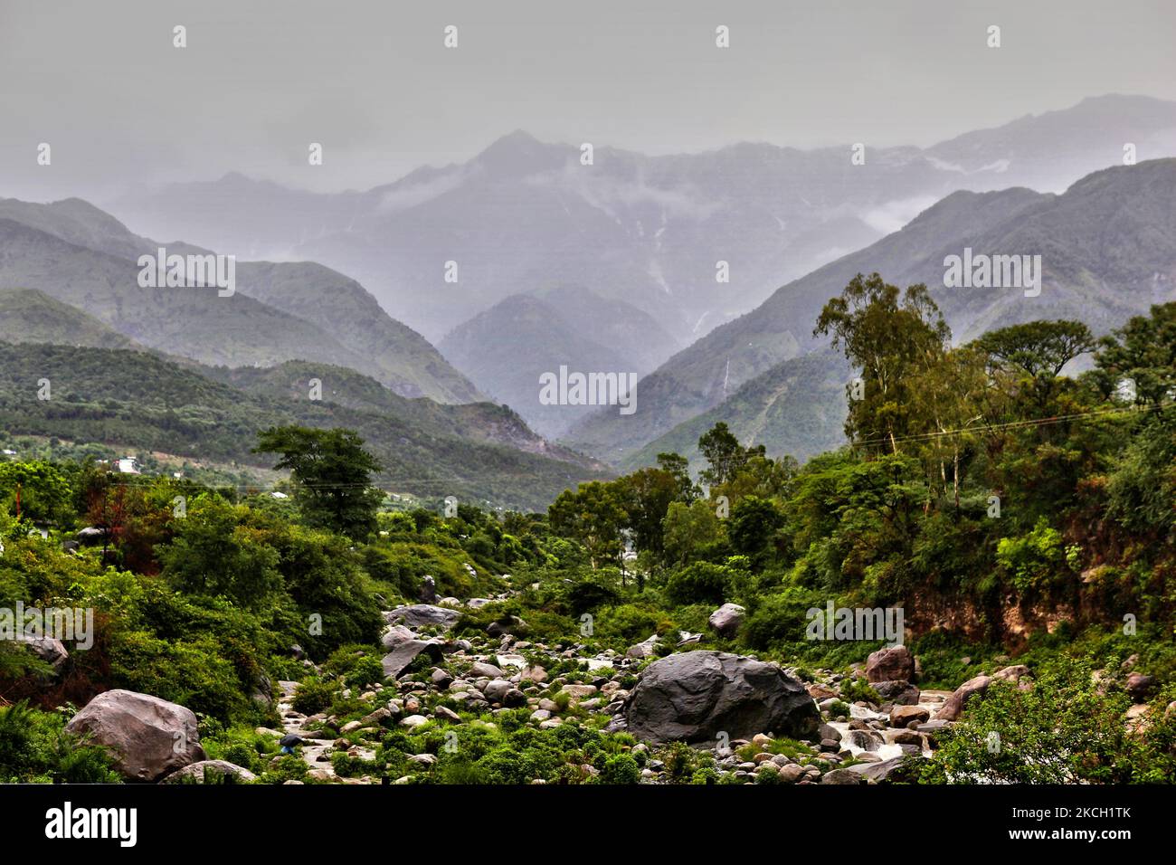 Paysage montagneux drapé dans la brume pendant la saison de la mousson à Dharmashala, Himachal Pradesh, Inde, sur 06 juillet 2010. (Photo de Creative Touch Imaging Ltd./NurPhoto) Banque D'Images
