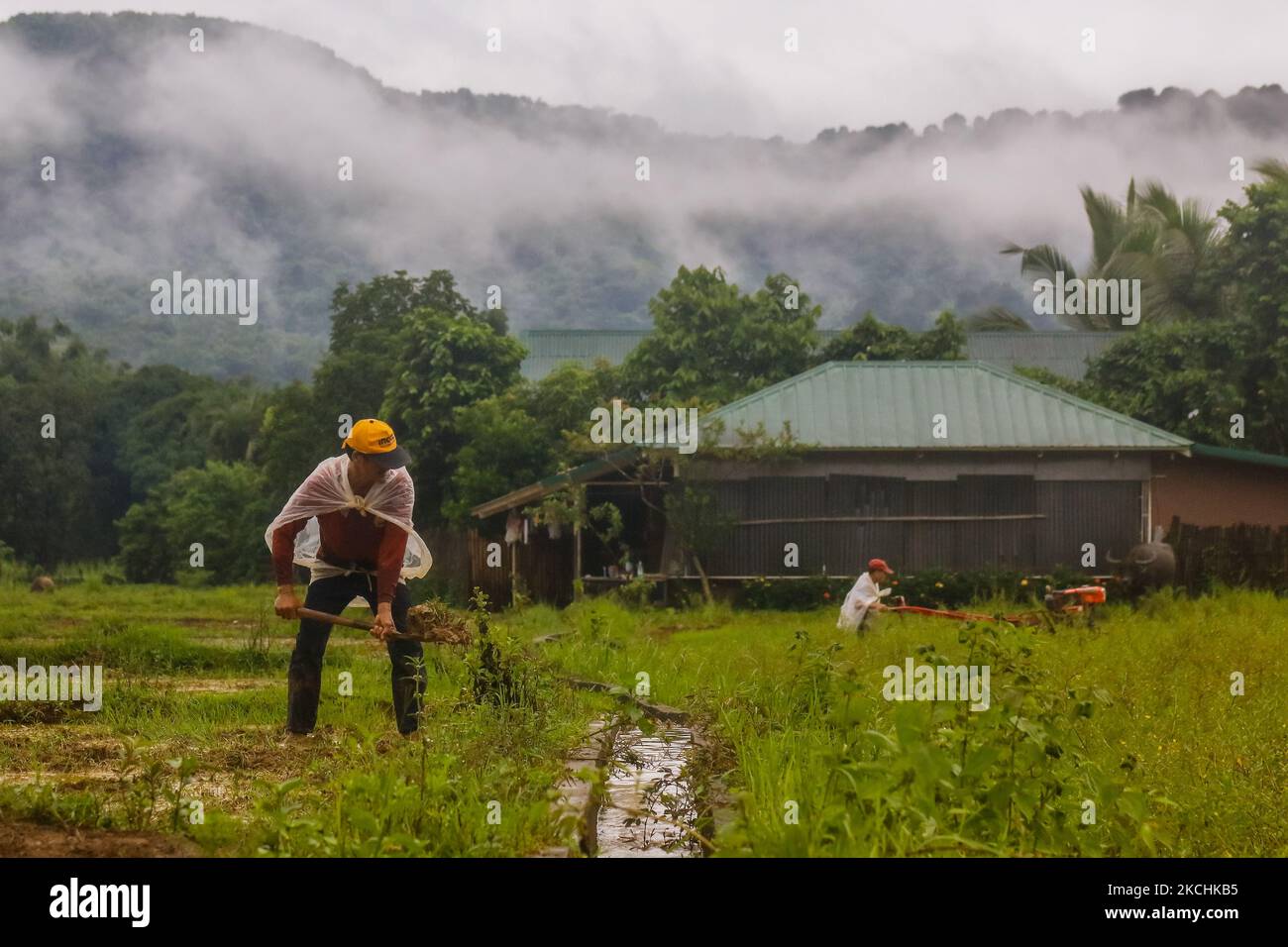 Les riziculteurs de Calawis, à Antipolo, aux Philippines labourent le sol pour planter des céréales de riz sur 24 juillet 2021. Aux Philippines, les agriculteurs luttent chaque saison humide, en particulier lorsque leurs récoltes sont durement touchées par le temps et sans l'appui adéquat du ministère de l'Agriculture. Les agriculteurs de Calawis se plaignent des prix élevés des engrais et des équipements de DA et de leur soutien instable. (Photo par Ryan Eduard Benaid/NurPhoto) Banque D'Images