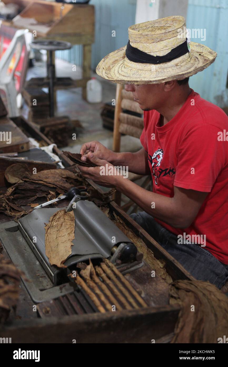 Le travailleur est assis sur un banc de travail pendant qu'il fait rouler des cigares à la main en utilisant des feuilles de tabac en vrac dans une usine de cigares de la République dominicaine, sur 22 décembre 2010. (Photo de Creative Touch Imaging Ltd./NurPhoto) Banque D'Images